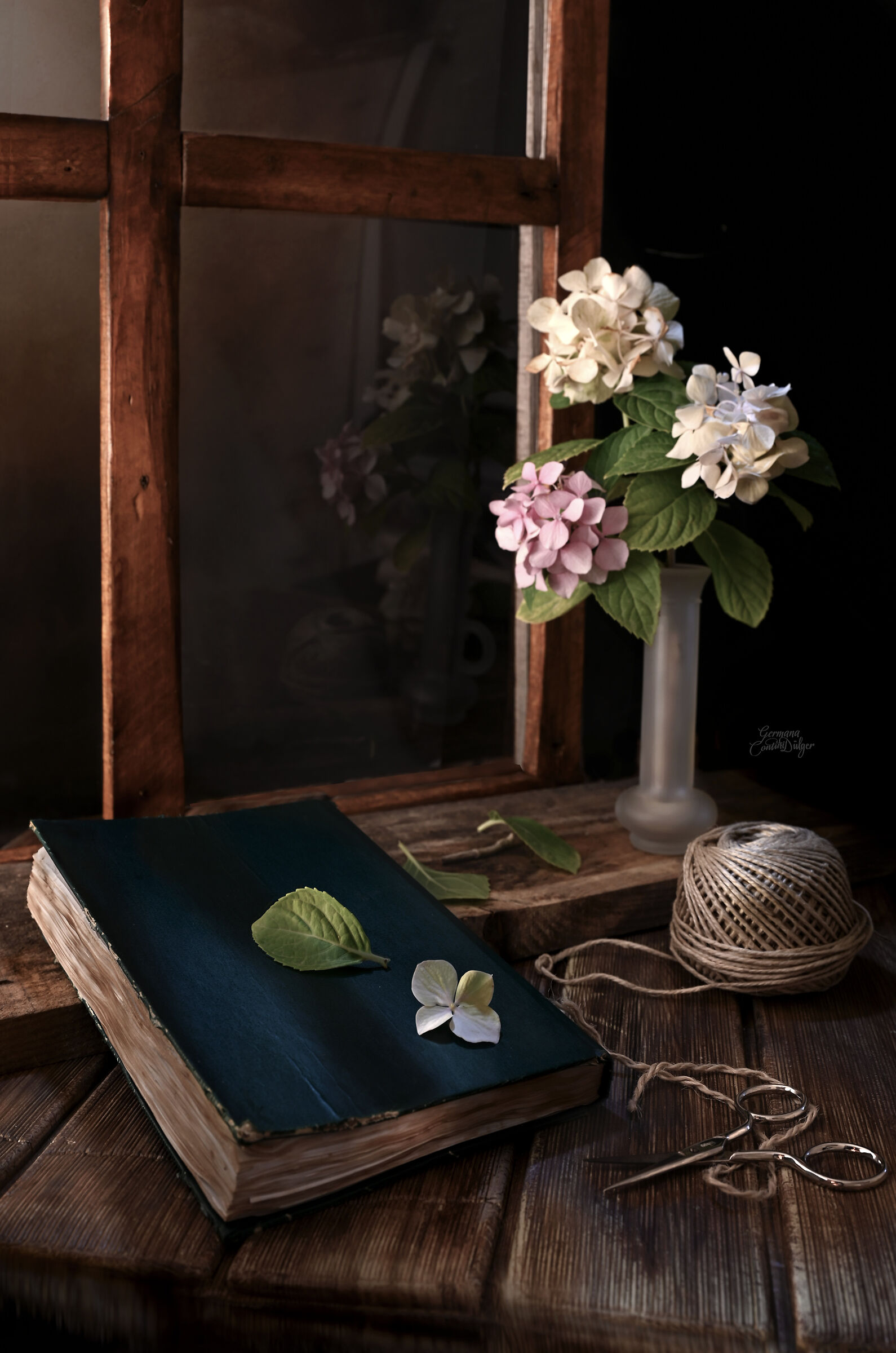 Window and hydrangeas