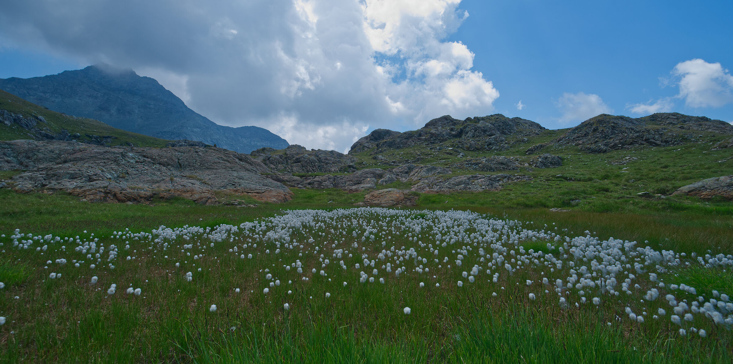 Valtournenche-Cheneil-Monte Rosetta