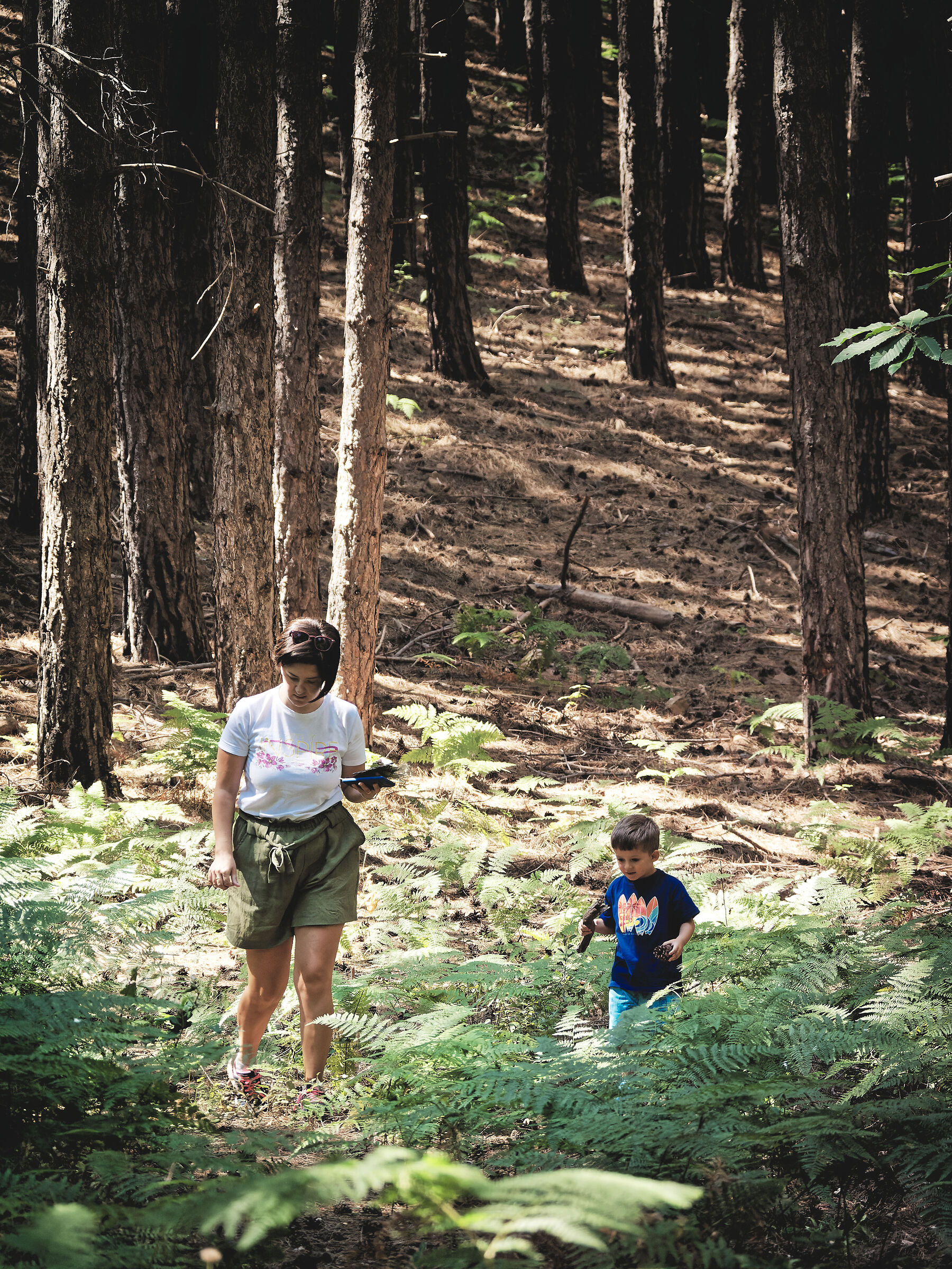 Going into the woods for sticks