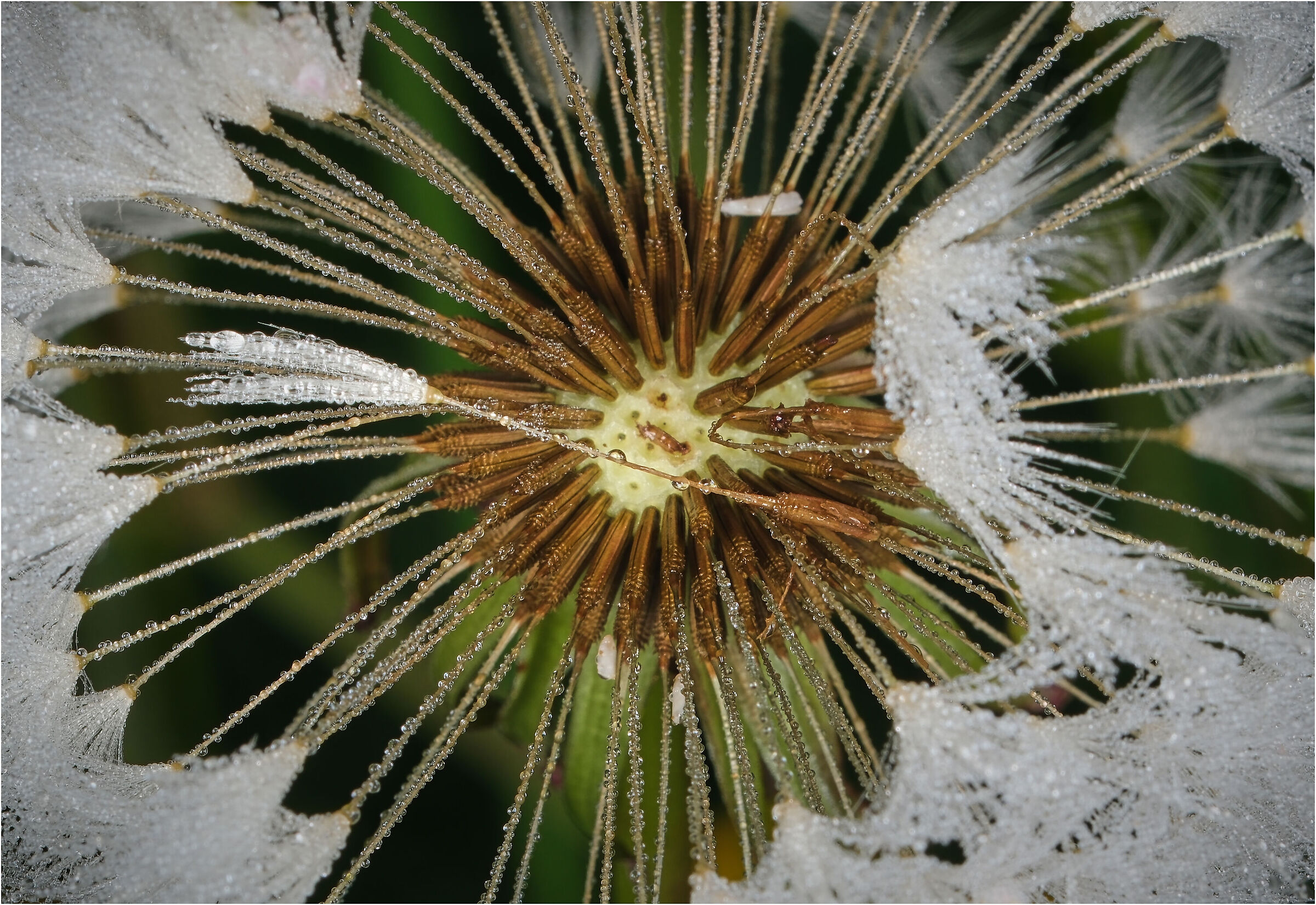 Internal