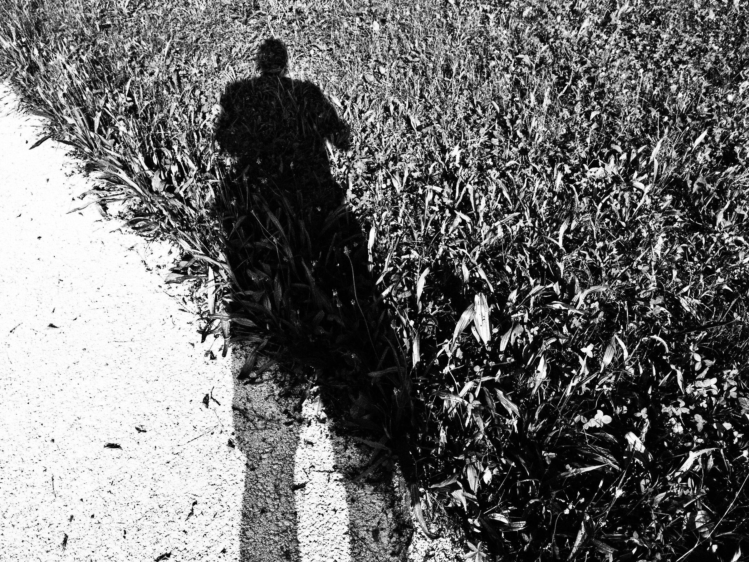 shadow