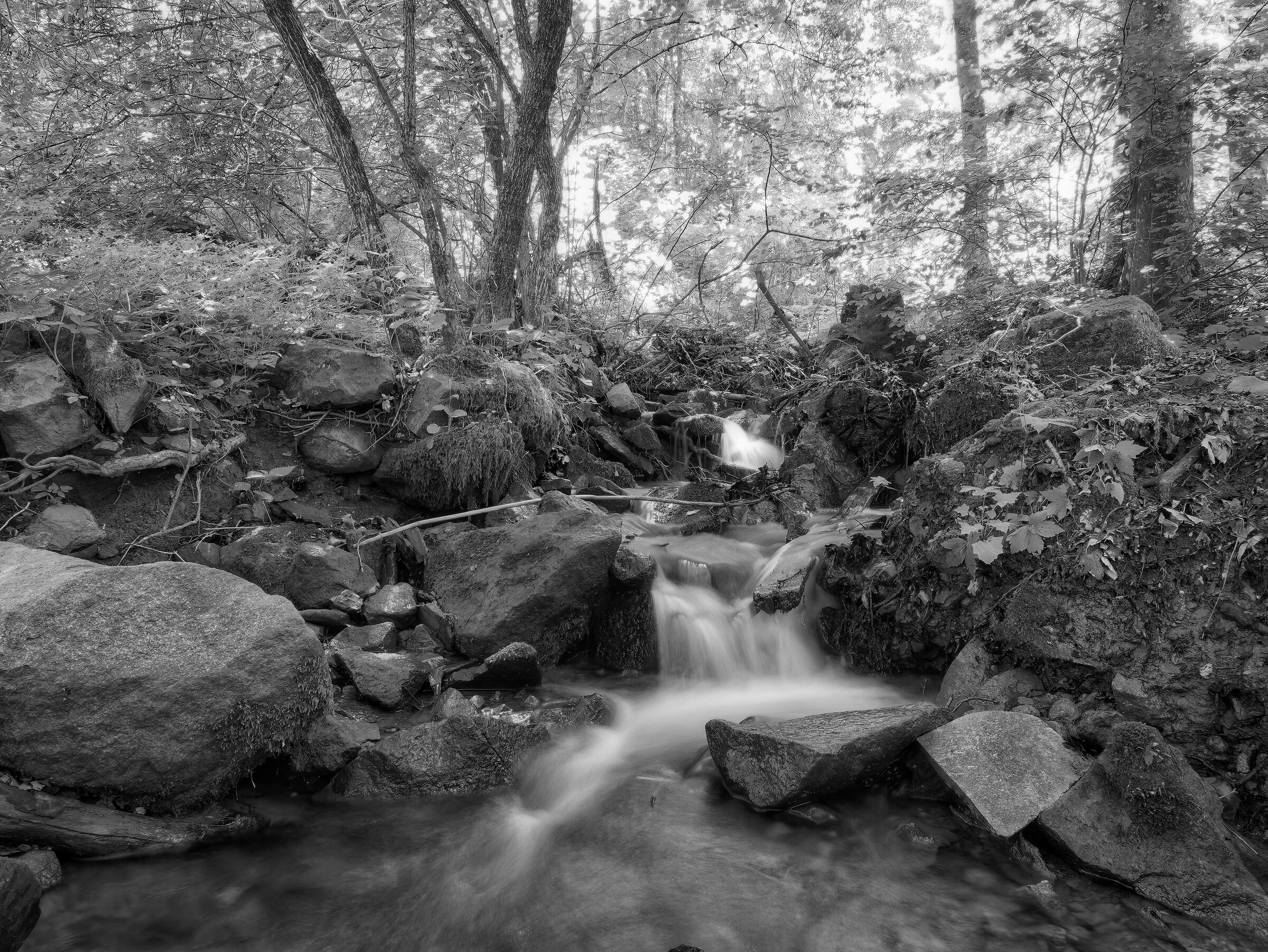 Untitled Photo