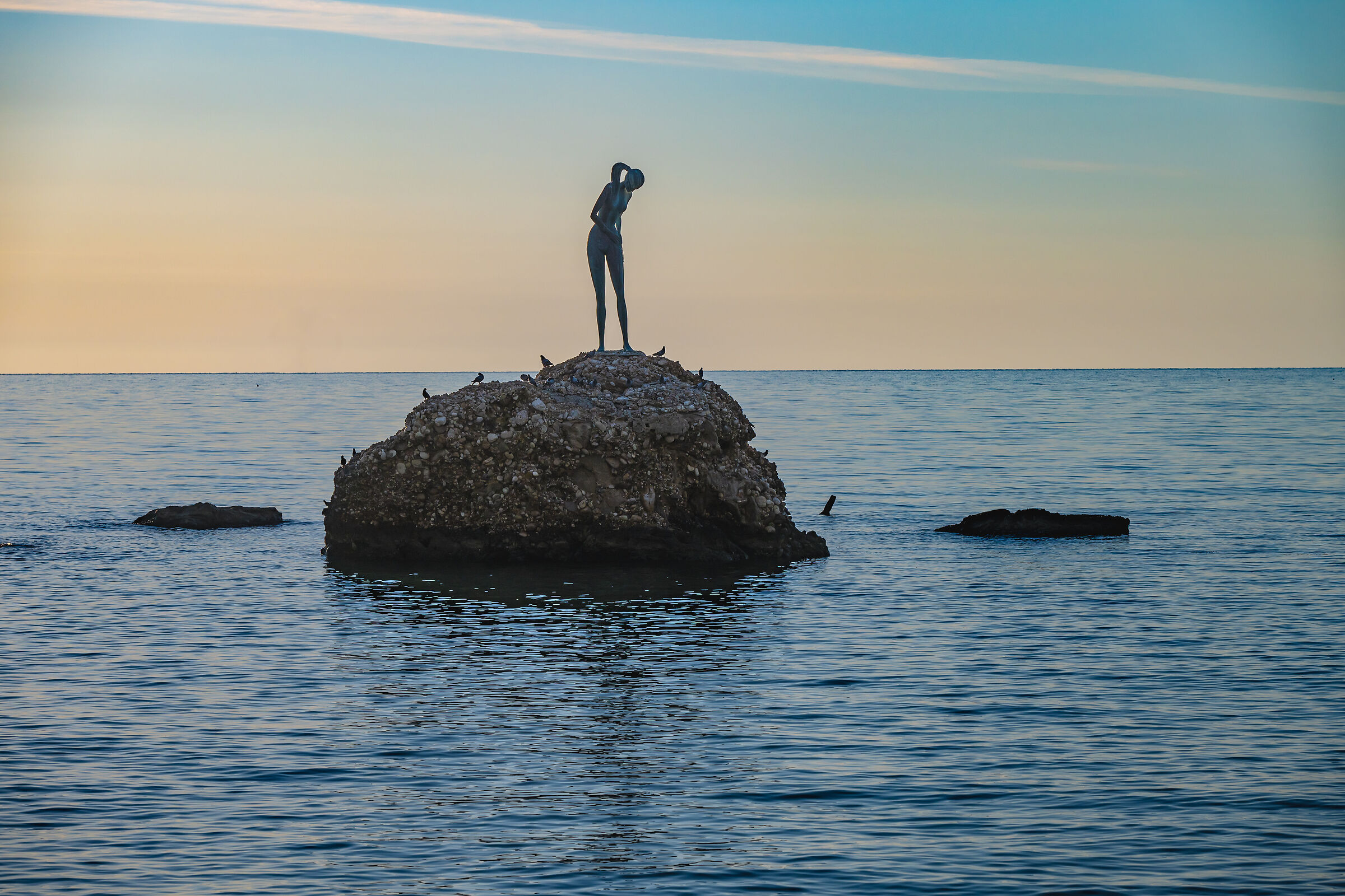 The Swimmer