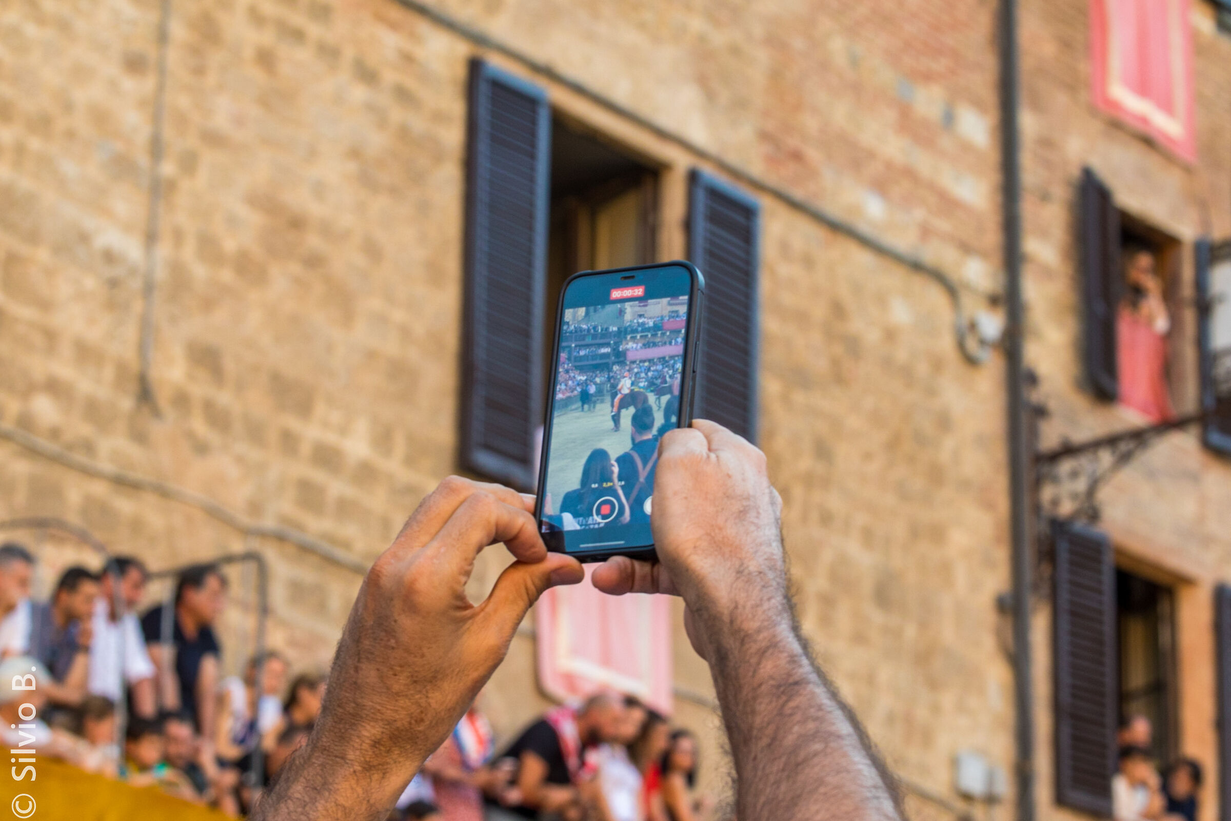 Palio: 'reflections' of ..... move