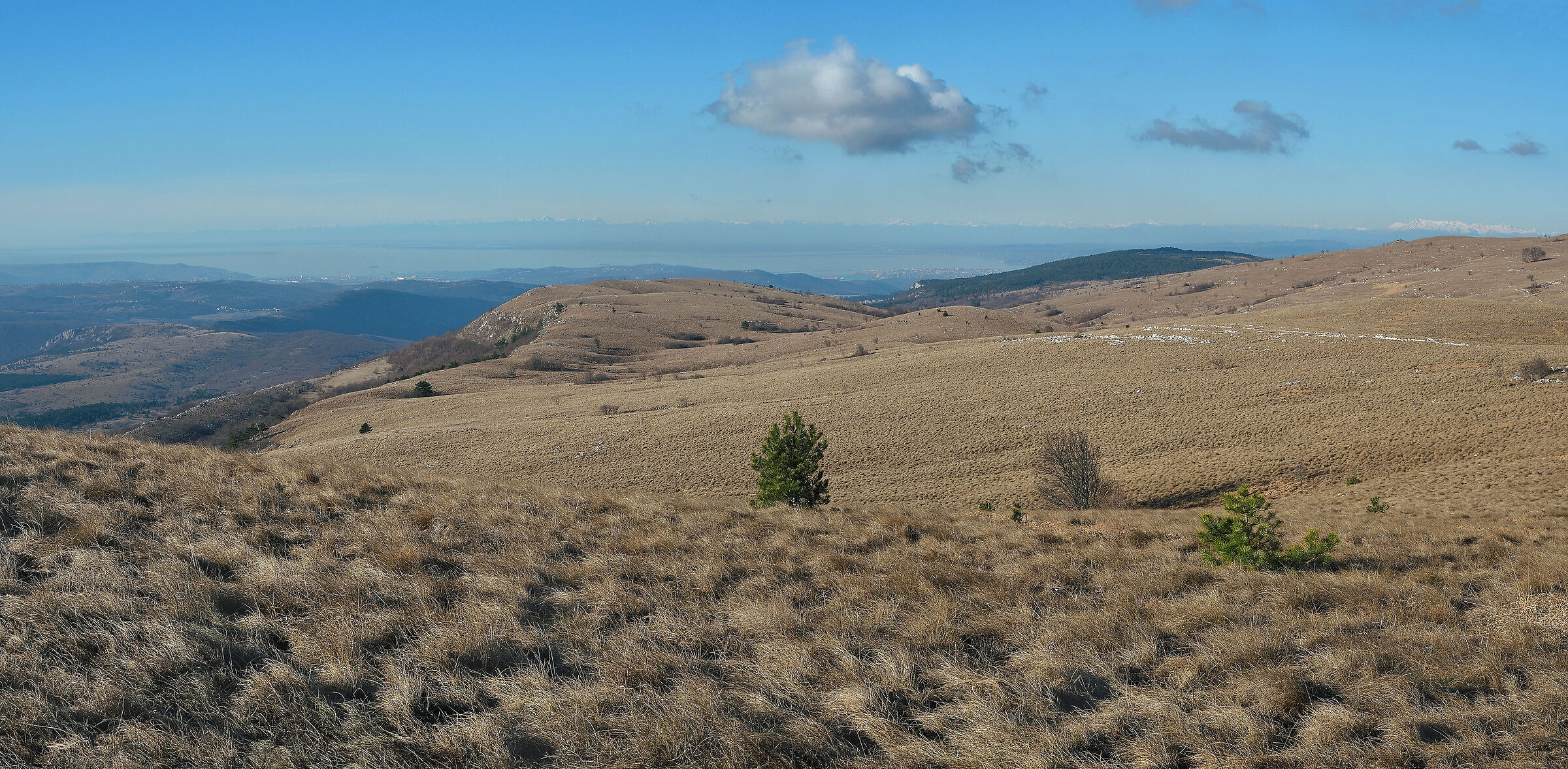 Vein Mountains (?i?arija)