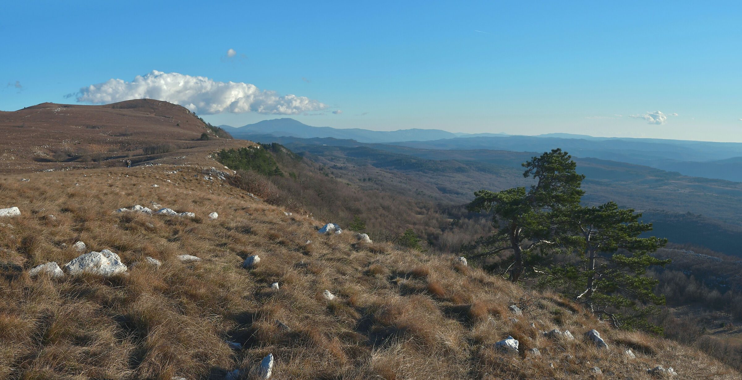 Vein Mountains (Istria)