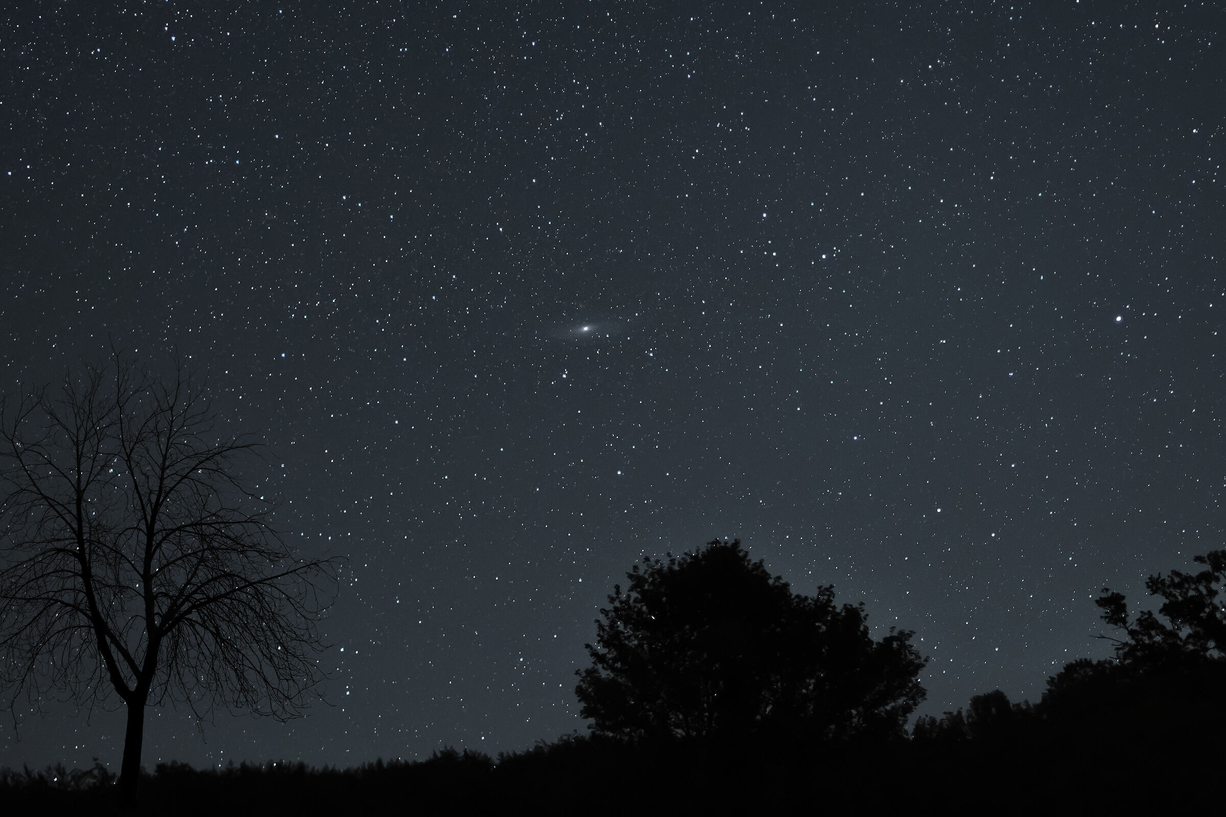 M31 (Andromeda) che fà capolino in un cielo stellato