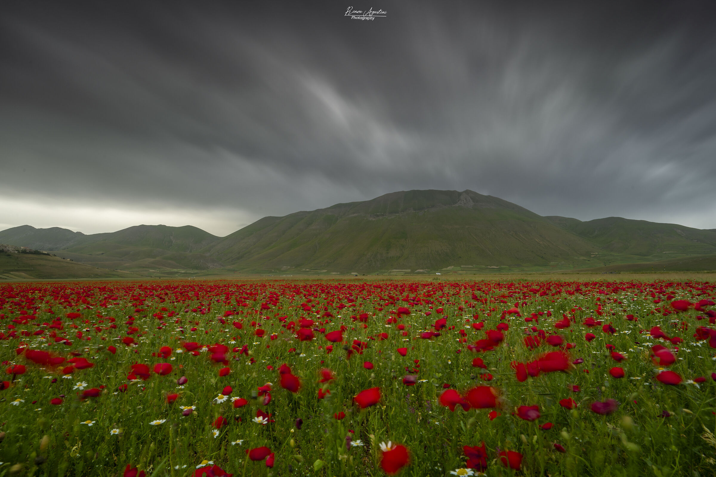 Castelluccio in fiore