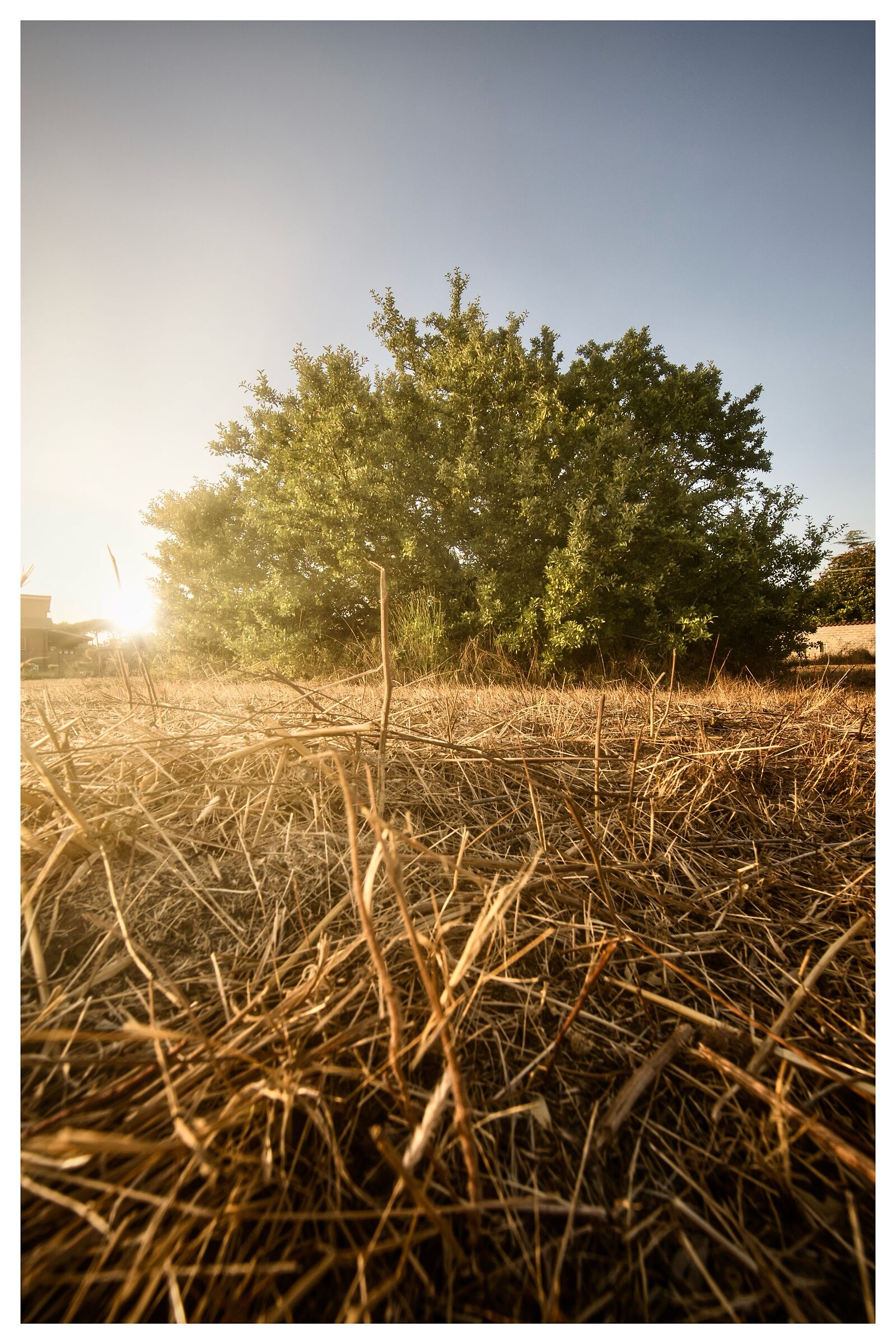 Untitled Photo