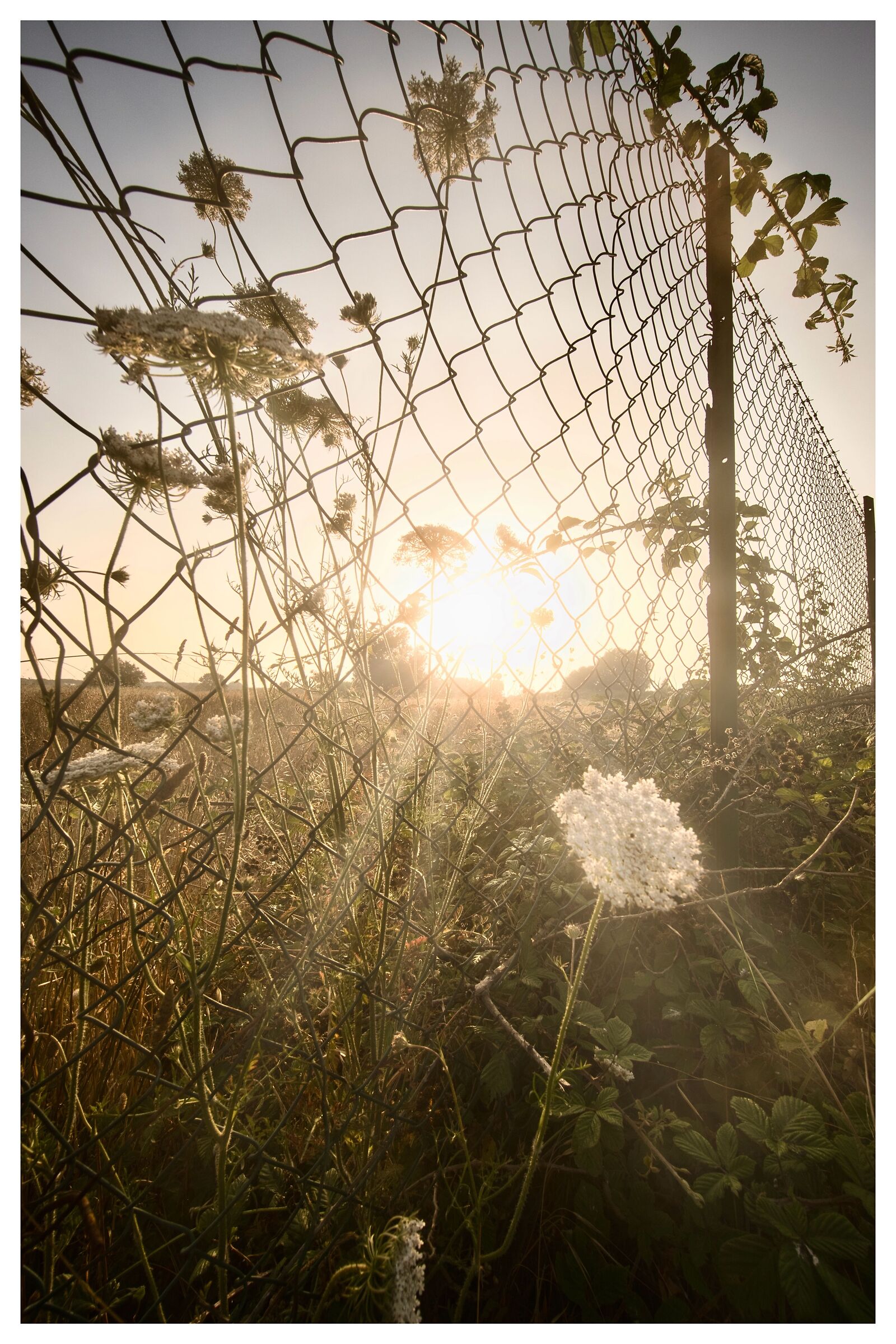 Untitled Photo