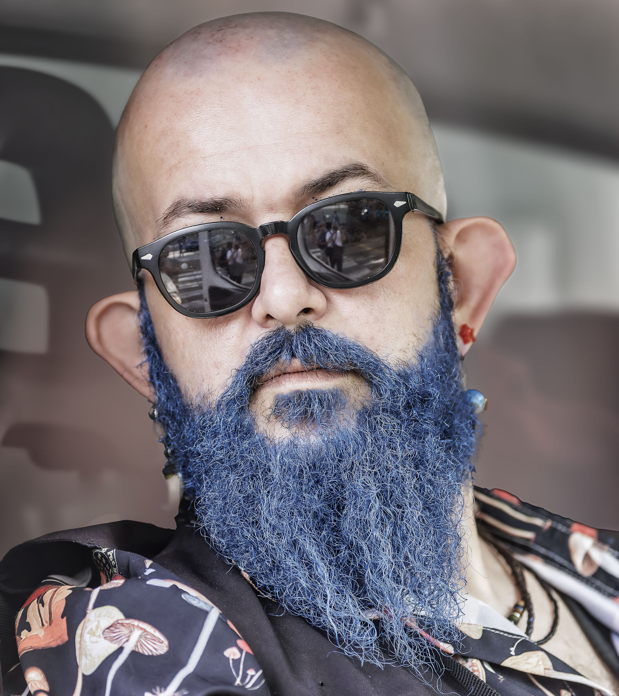 The former pirate Bluebeard