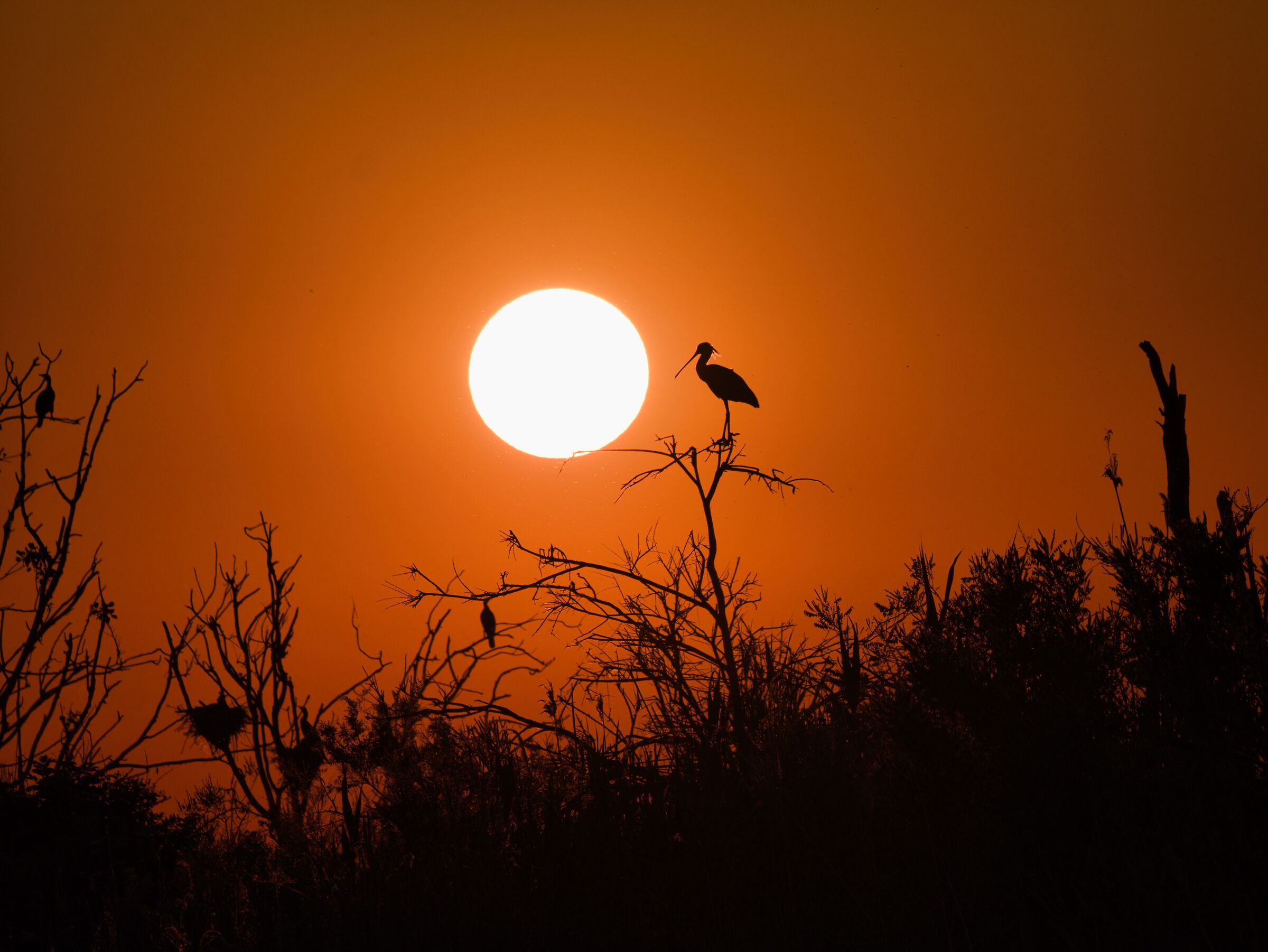 Spatola al tramonto