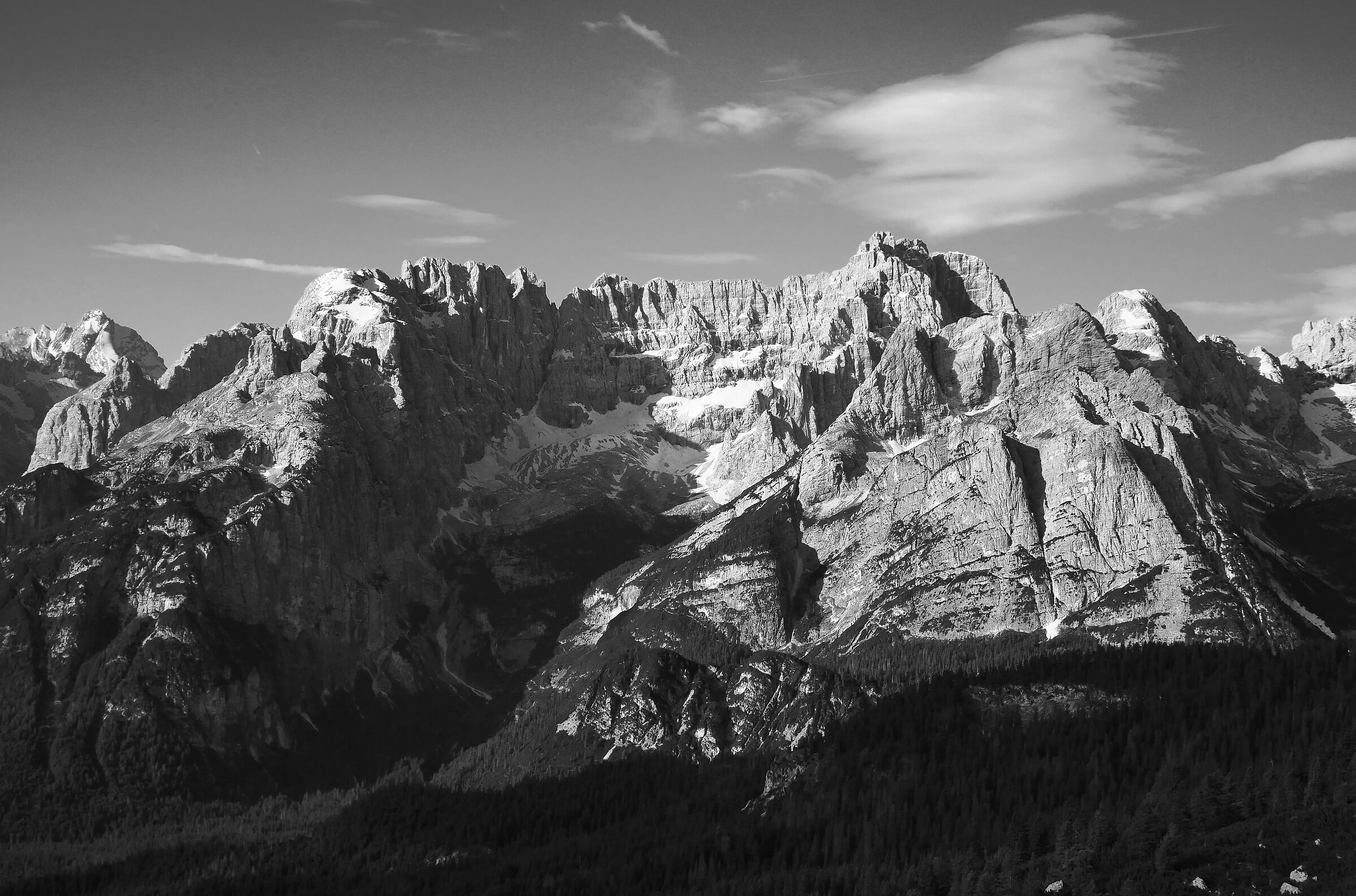 Untitled Photo