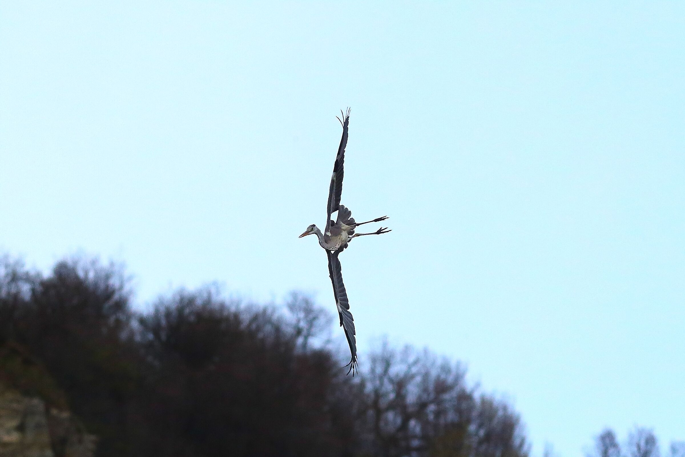 Cenerino 24 marzo 2024 - 7314