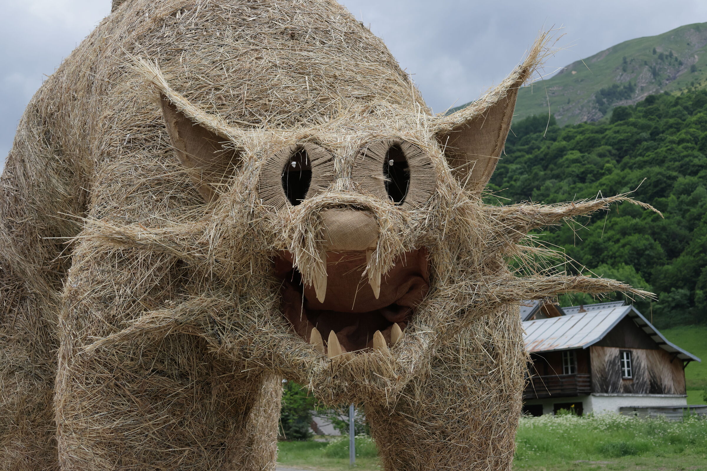 Gatto