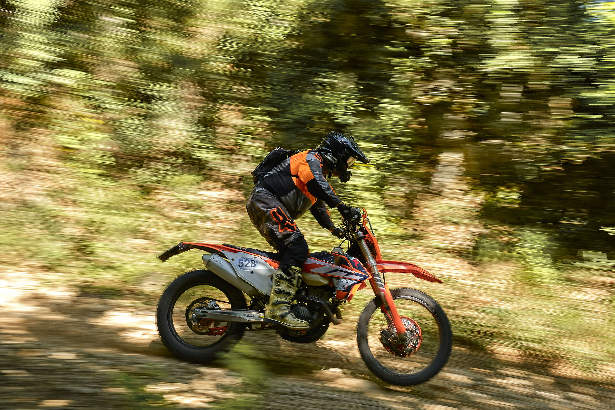 Motorally Foligno 2024