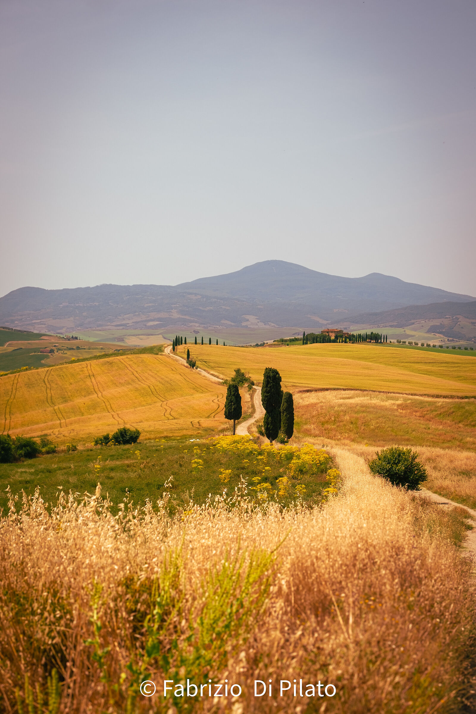 Pienza