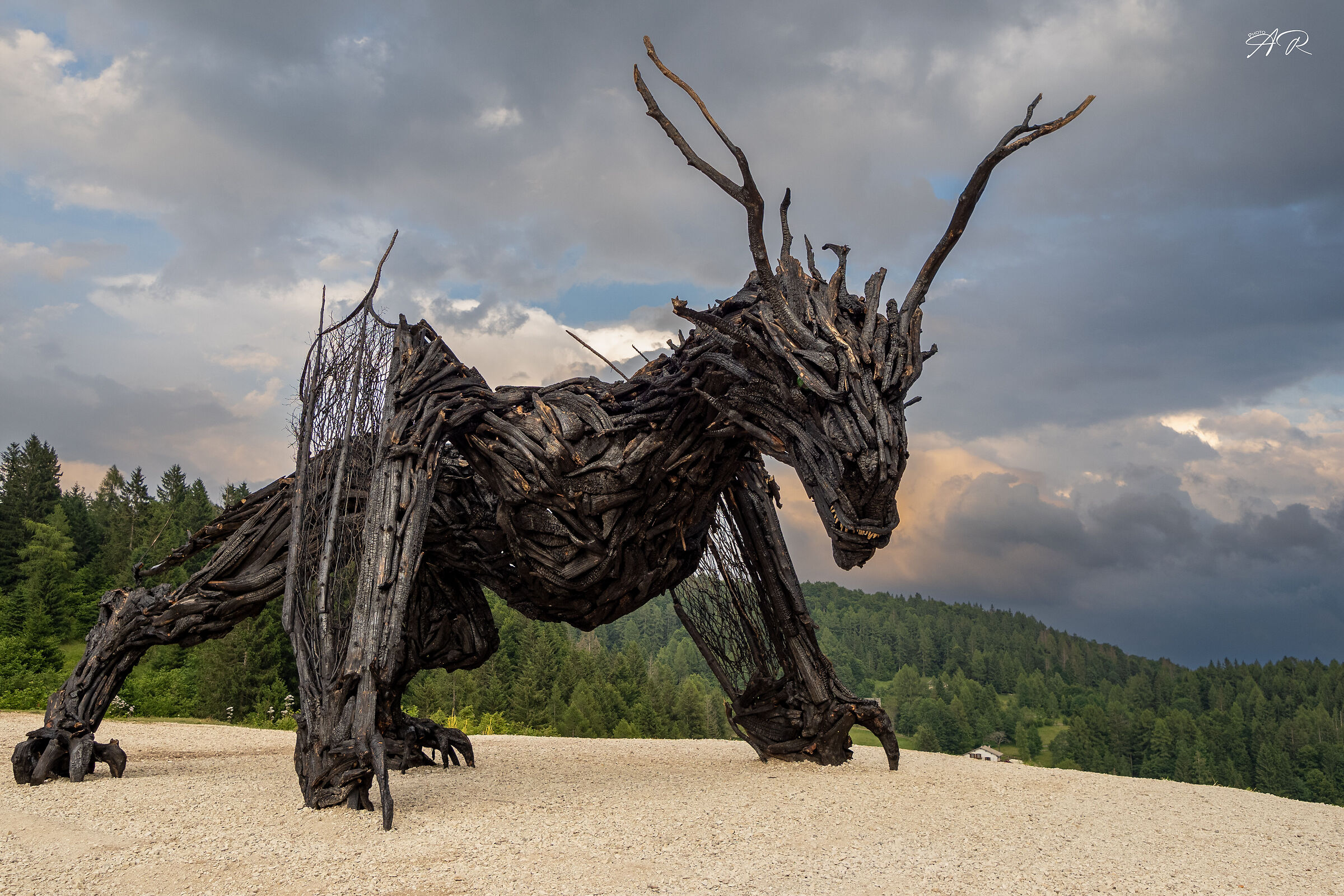 Drago Vaia Regeneration