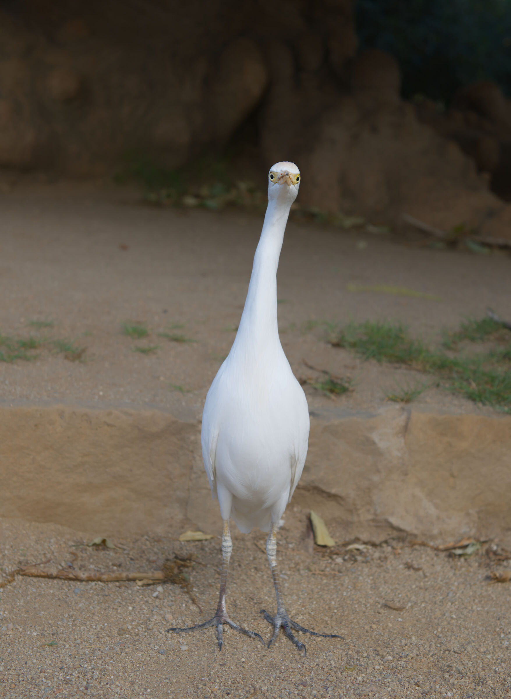 ..cosa c'è da guardare??