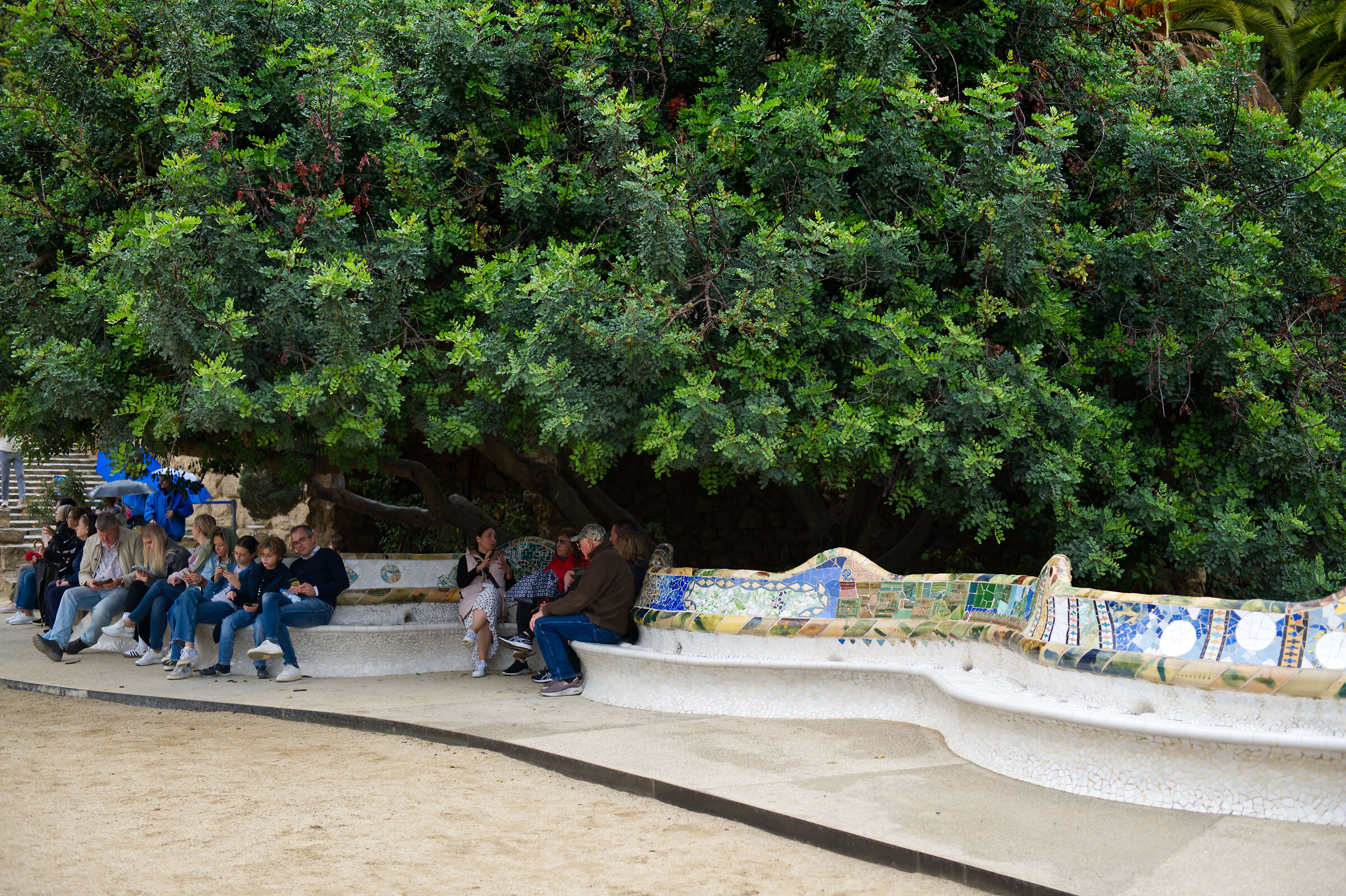 Sotto il grande verde