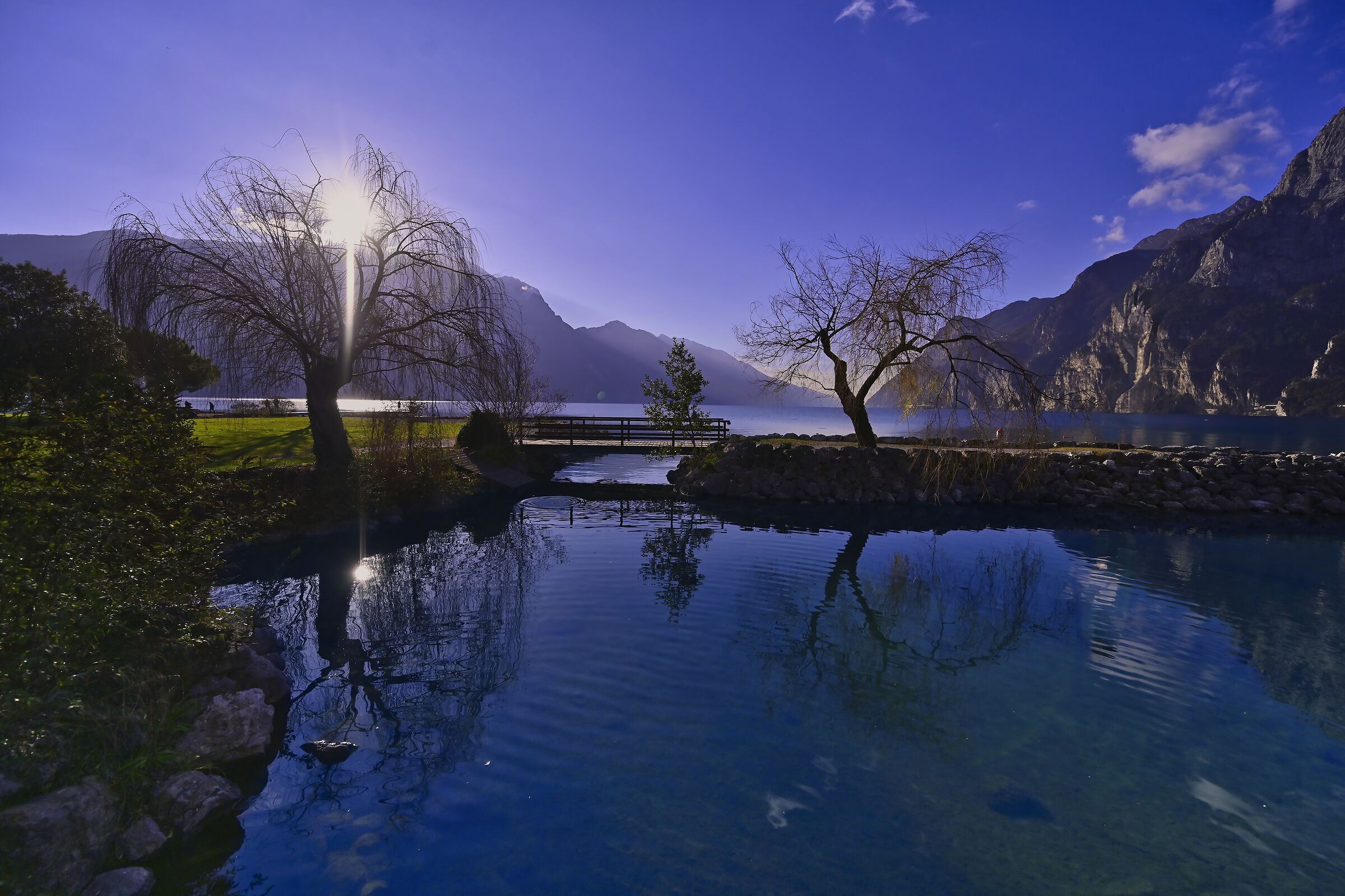 Untitled Photo