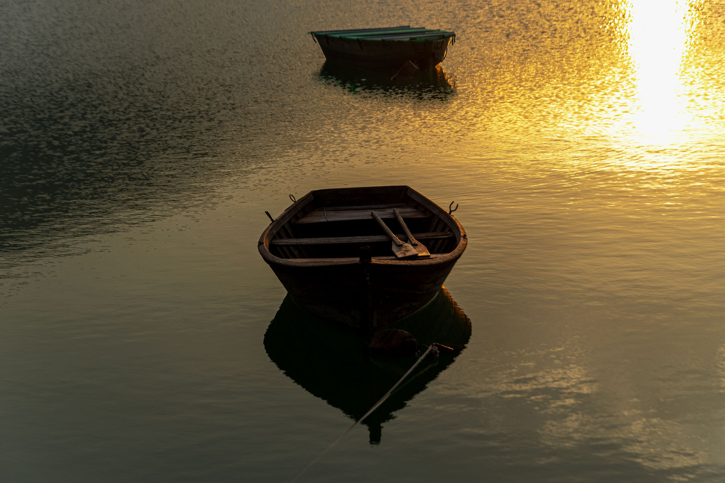 Golden hour at the lake