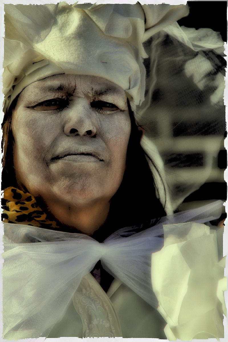 San Felice sul Panaro 2013 - diario di un sogno