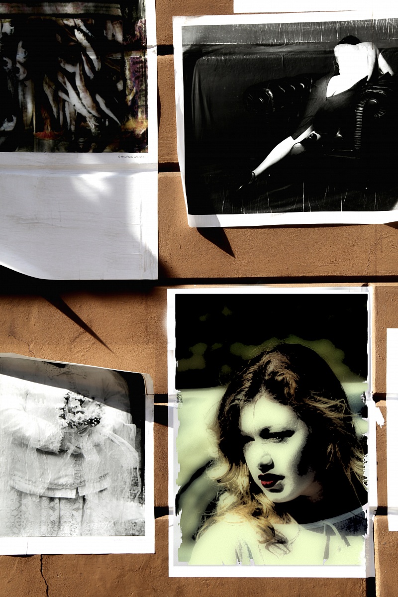 San Felice sul Panaro 2013 - diario di un sogno