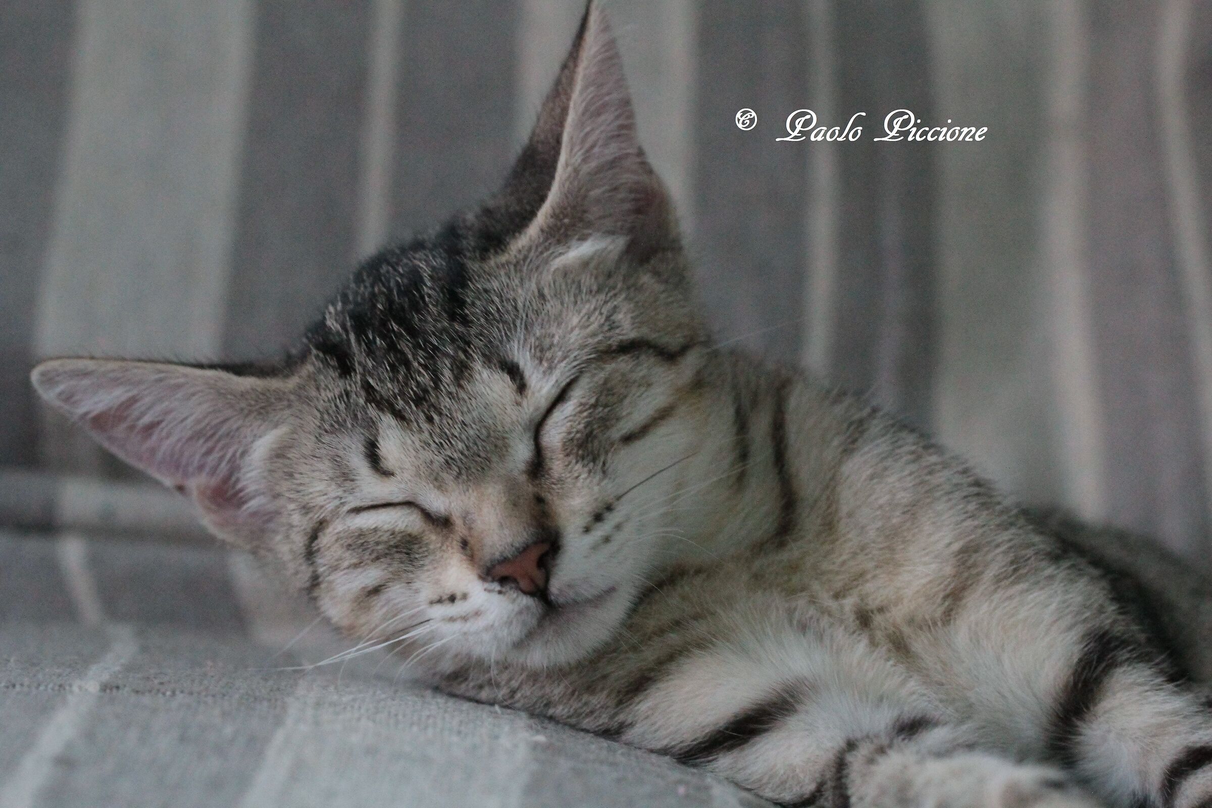 Buonanotte.....