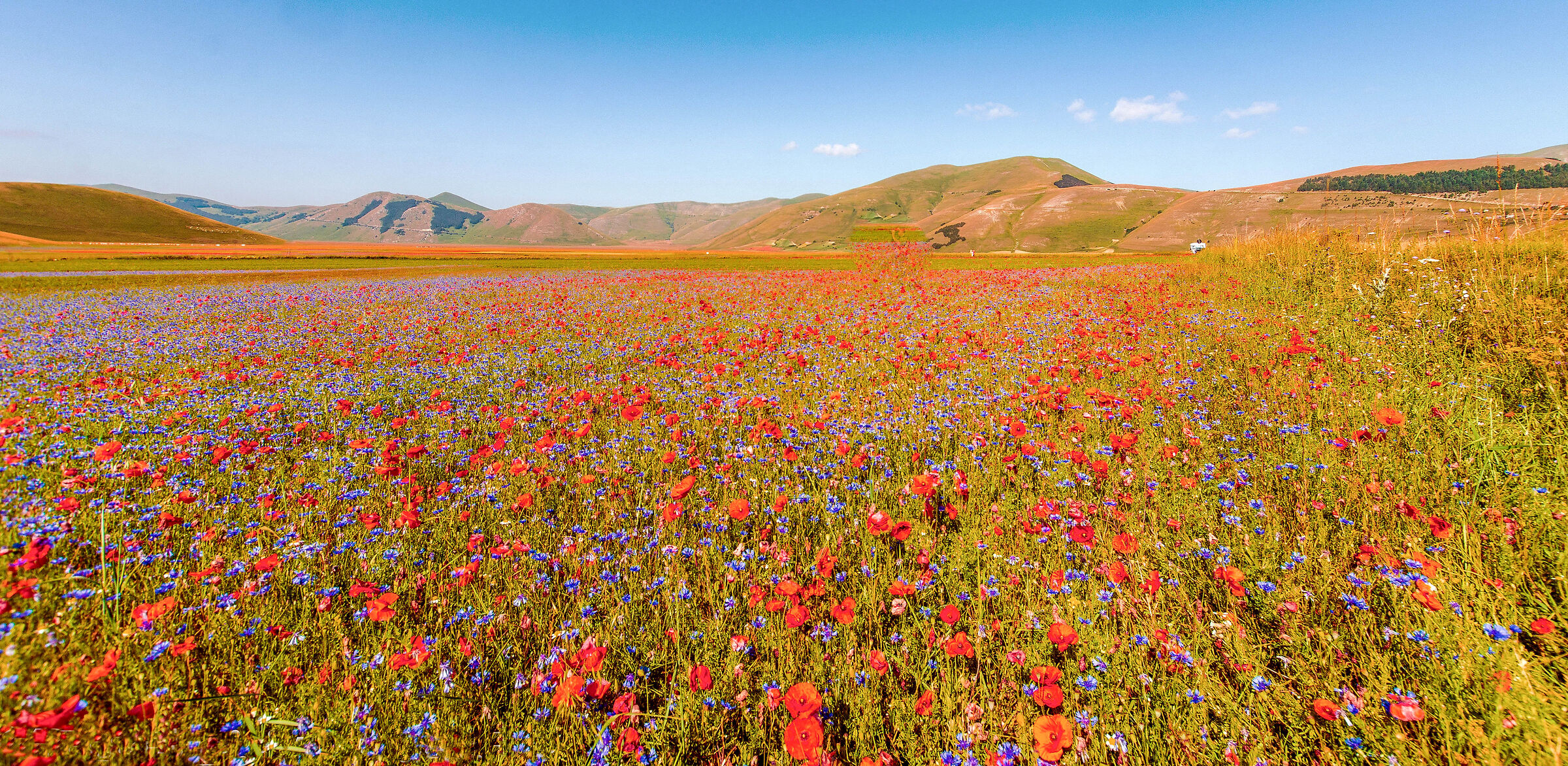 Castelluccio 2924