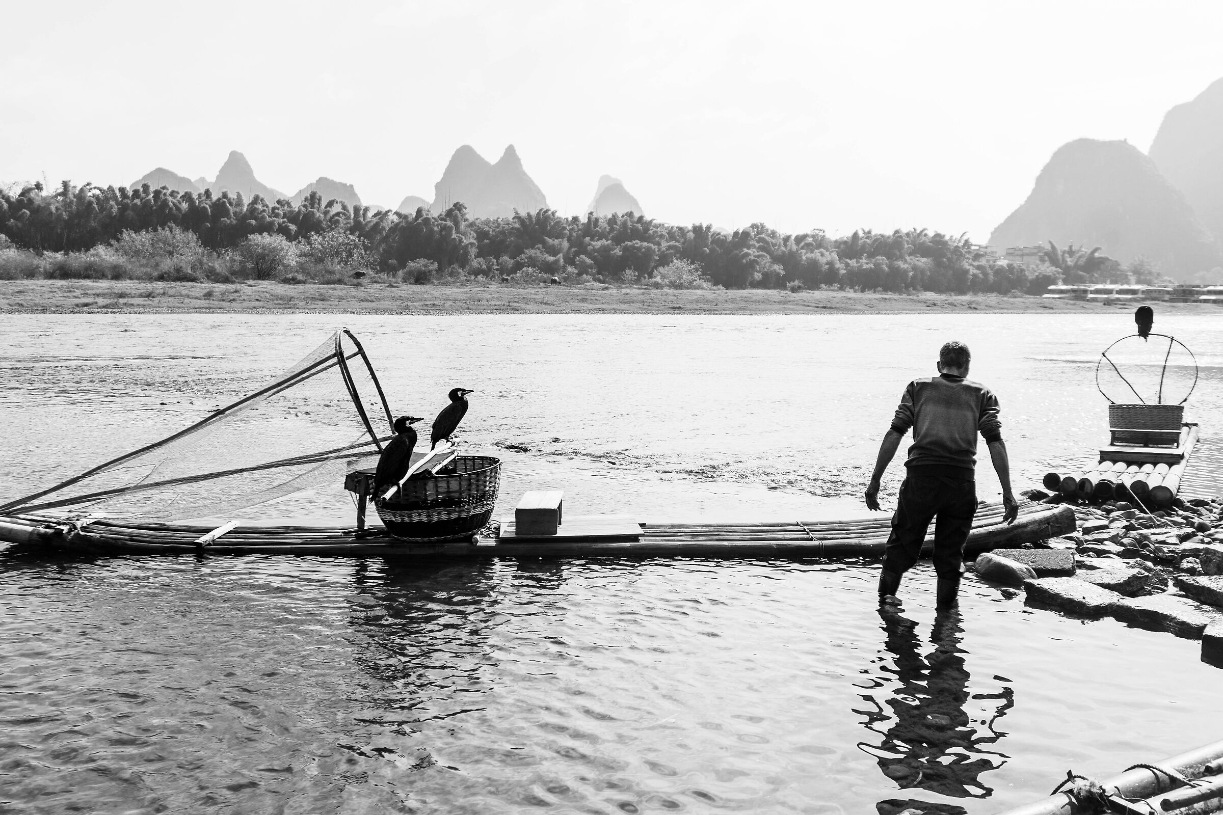 Yangshuo - cormorant fishing