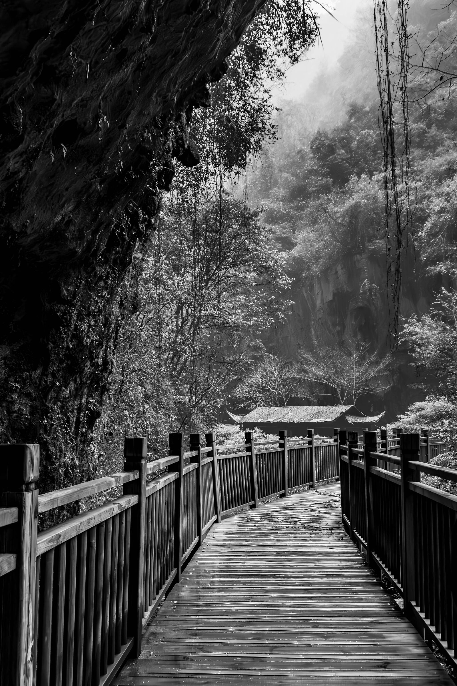 Grand Canyon - Zhanghjiajie