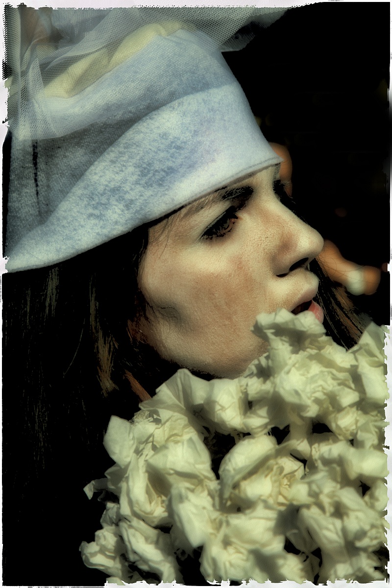 San Felice sul Panaro 2013 - diario di un sogno