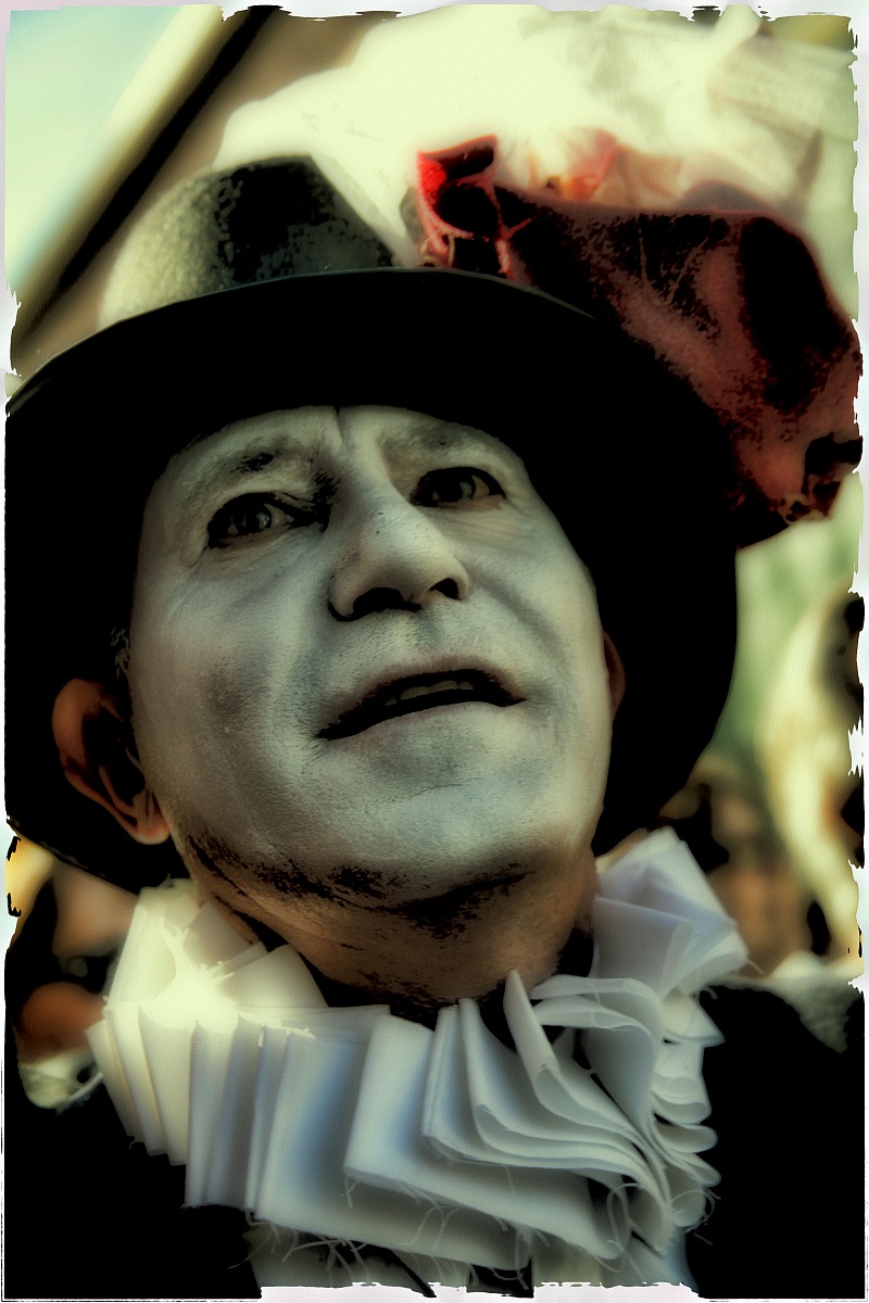 San Felice sul Panaro 2013 - diario di un sogno