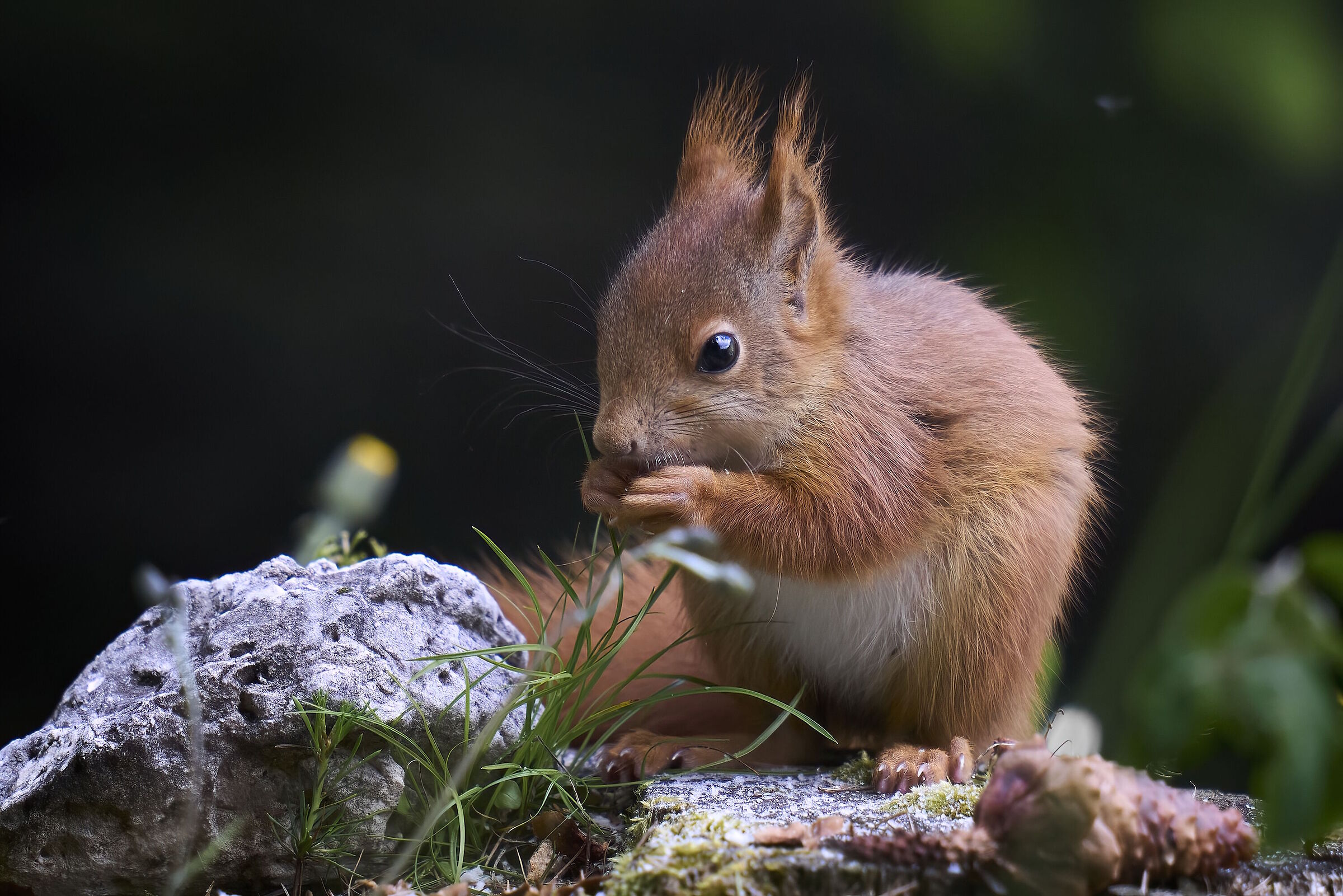 Merenda per il "rosso"