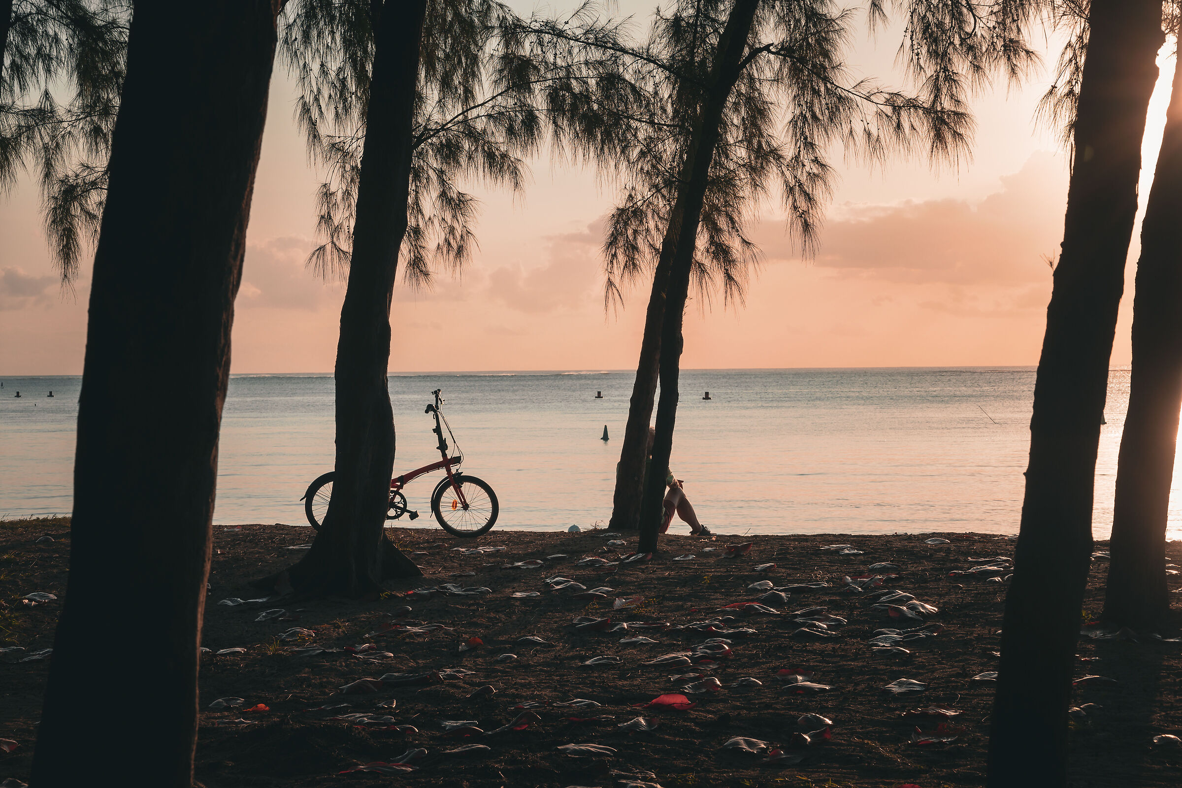 Reflections at sunset