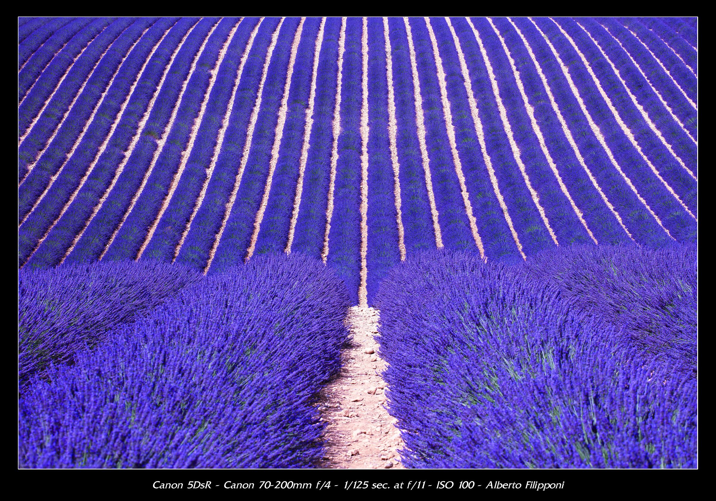 Valensole