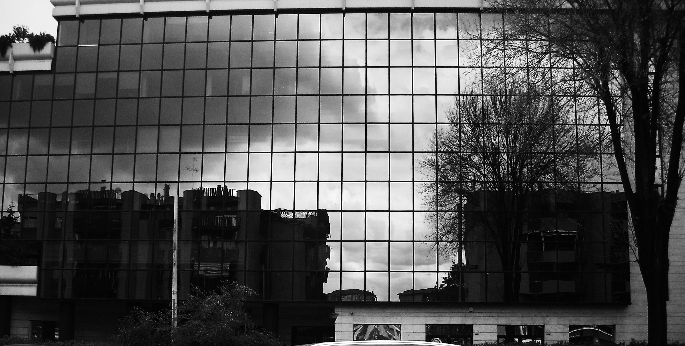Riflessi