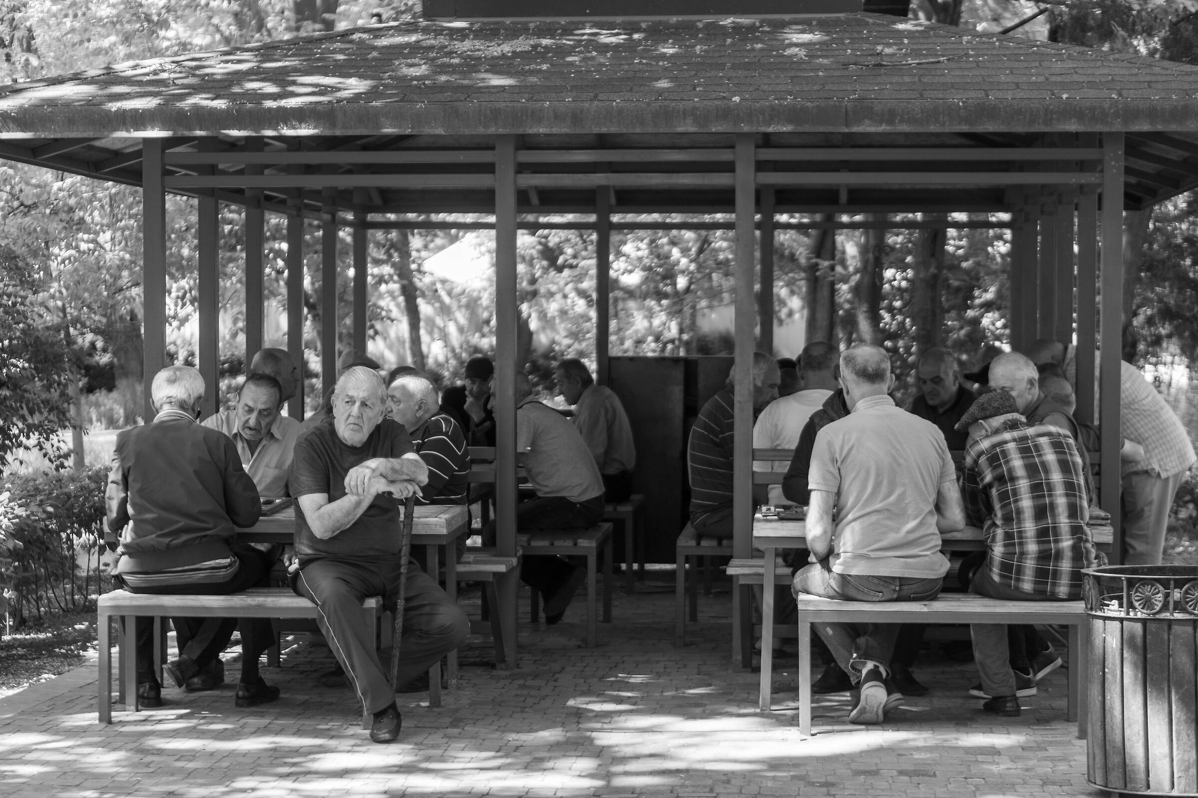 Giocatori di scacchi riflessivi a Yerevan