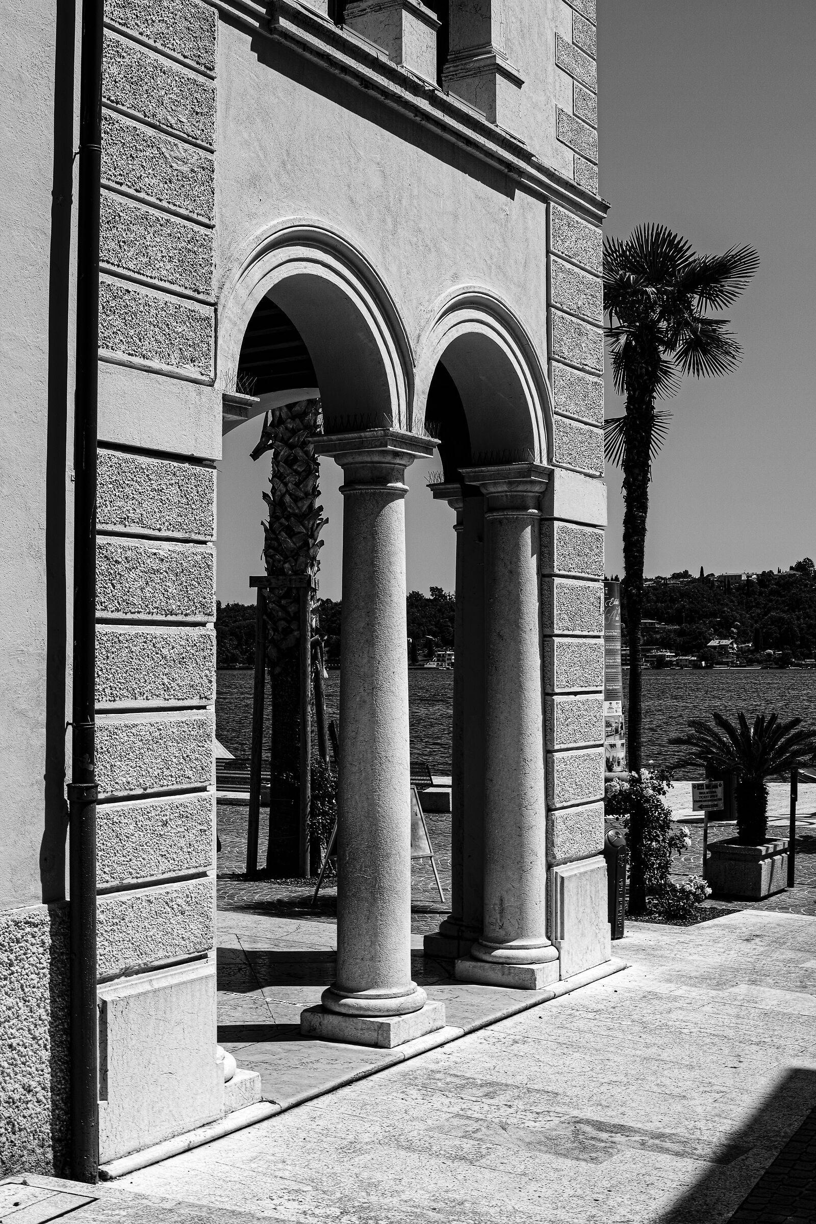 Untitled Photo