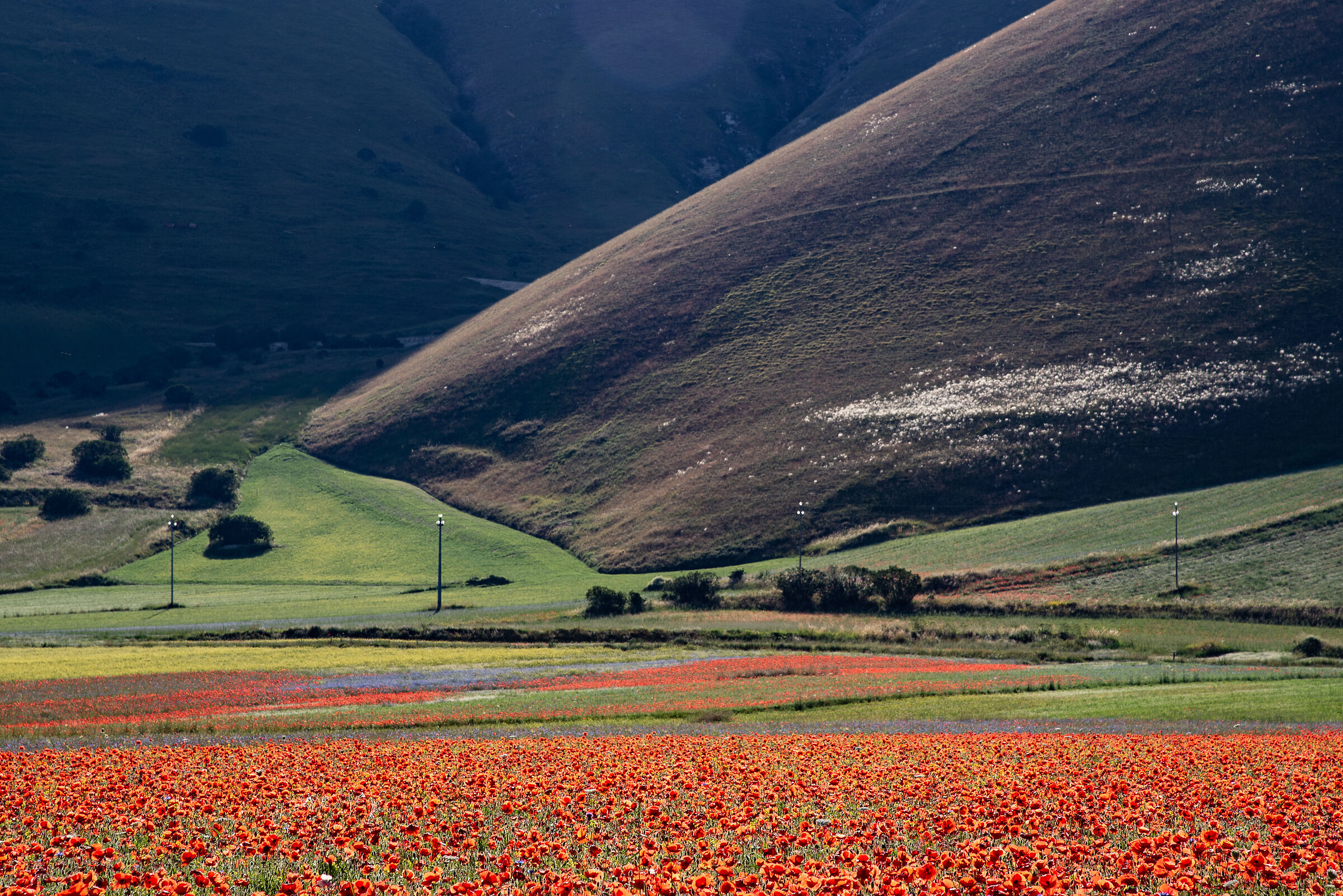Pian grande Castelluccio