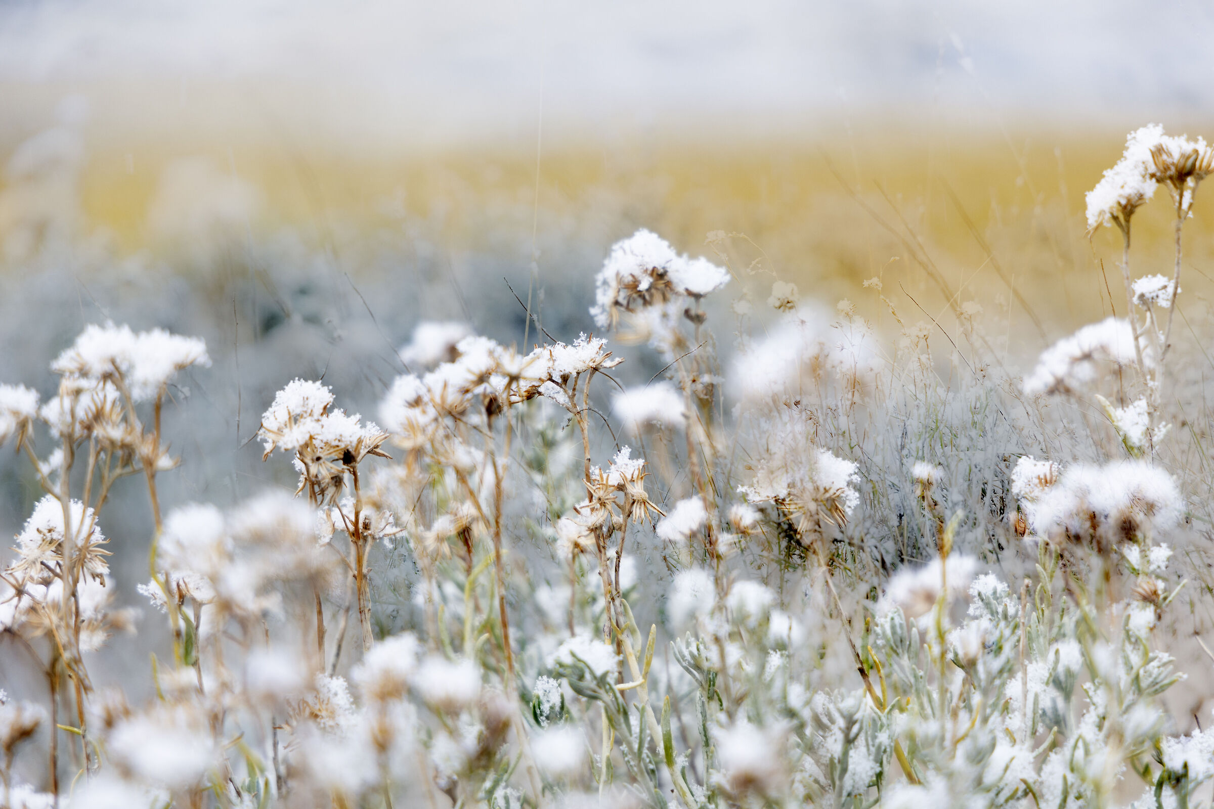 Primi fiocchi a Cerro Castillo