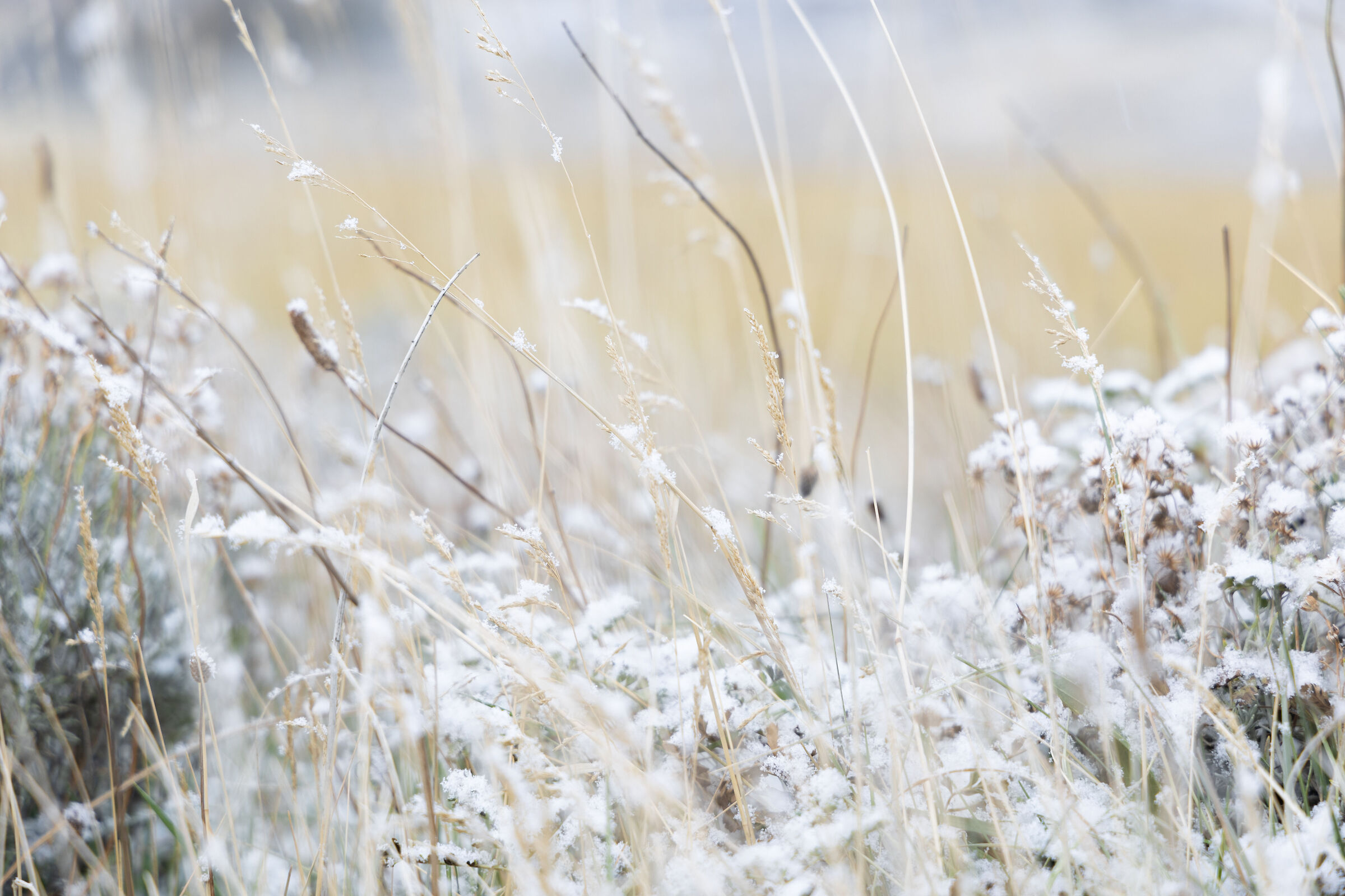 Primi fiocchi a Cerro Castillo