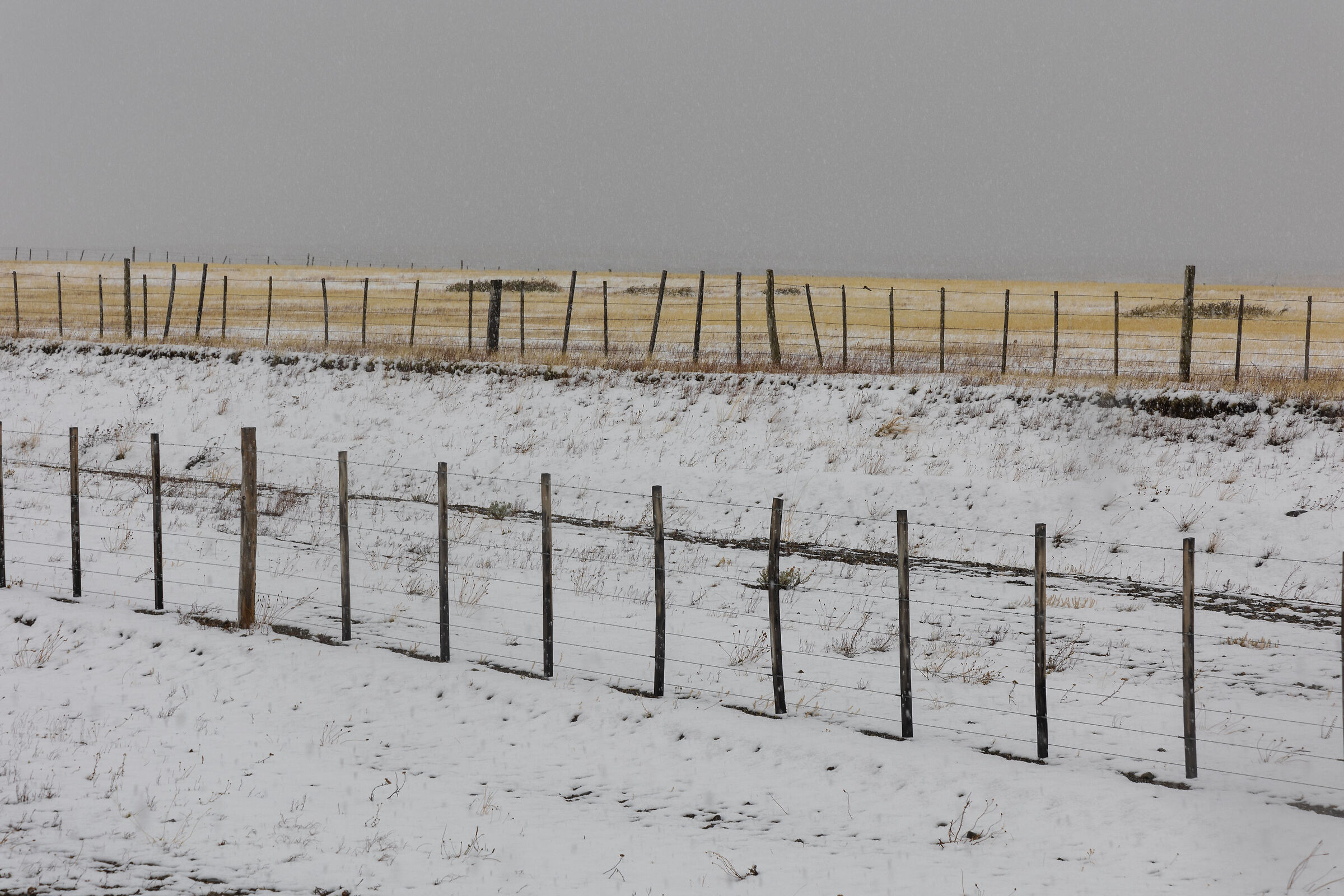 Primi fiocchi a Cerro Castillo