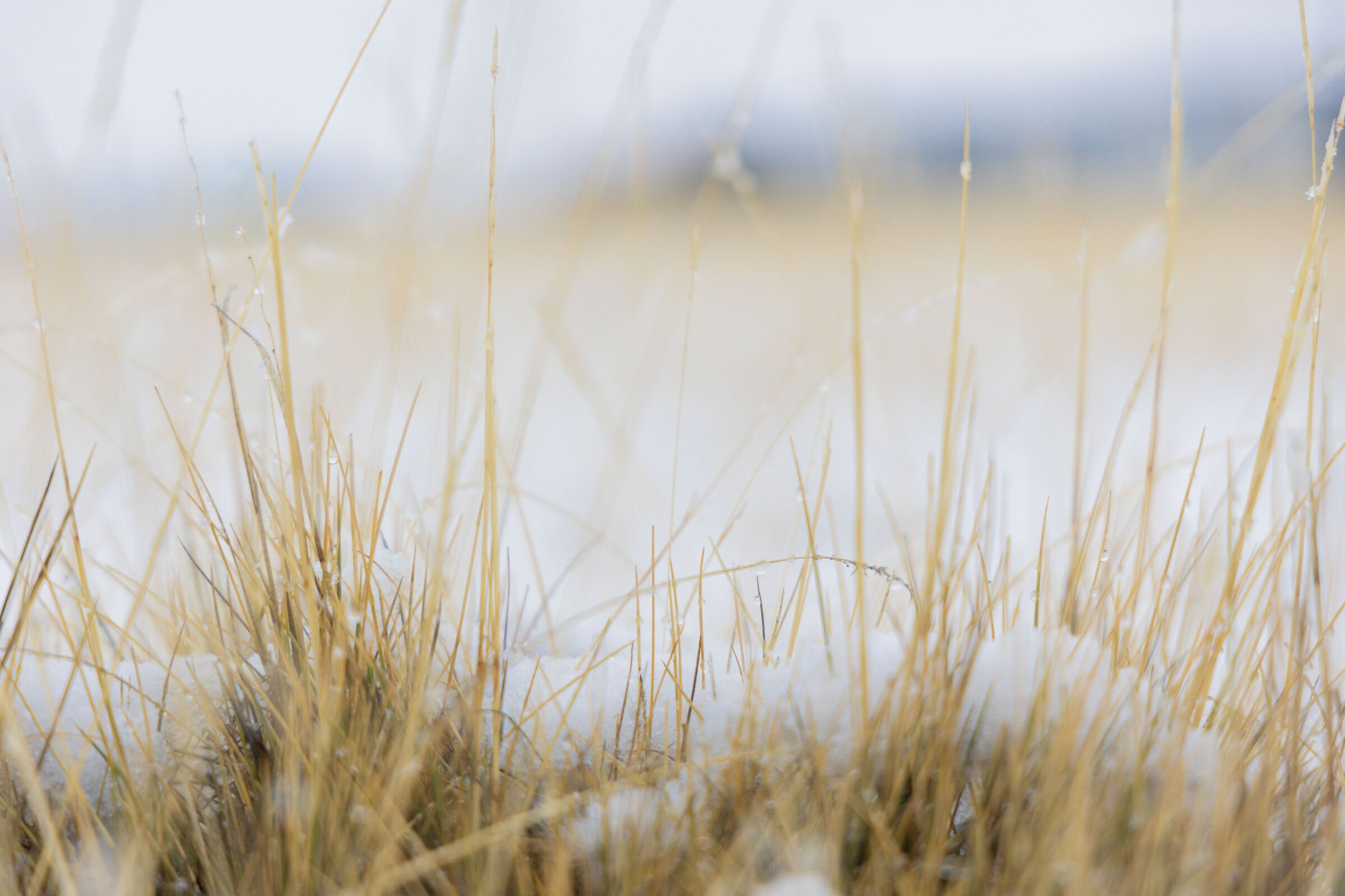 Primi fiocchi a Cerro Castillo