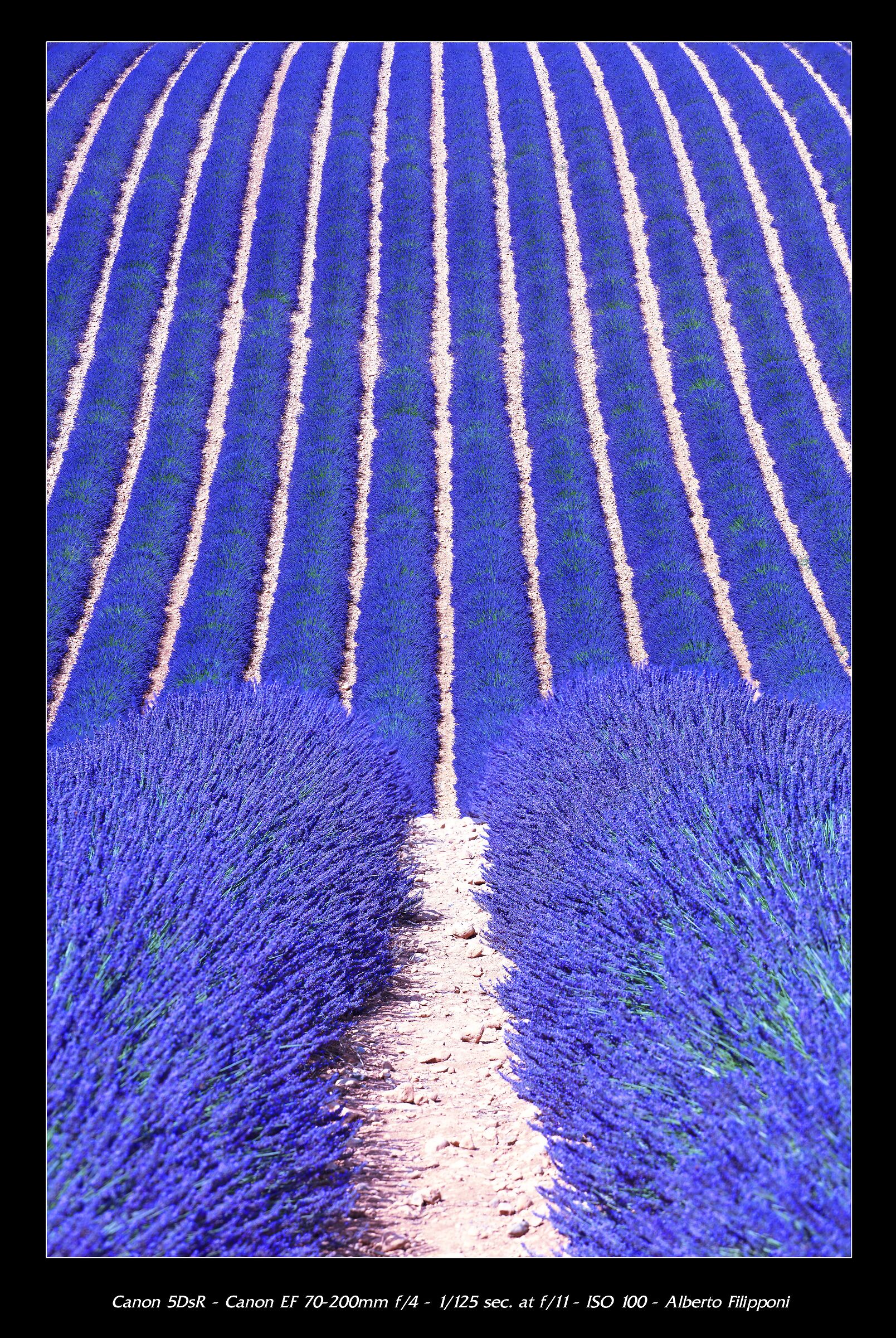 Valensole