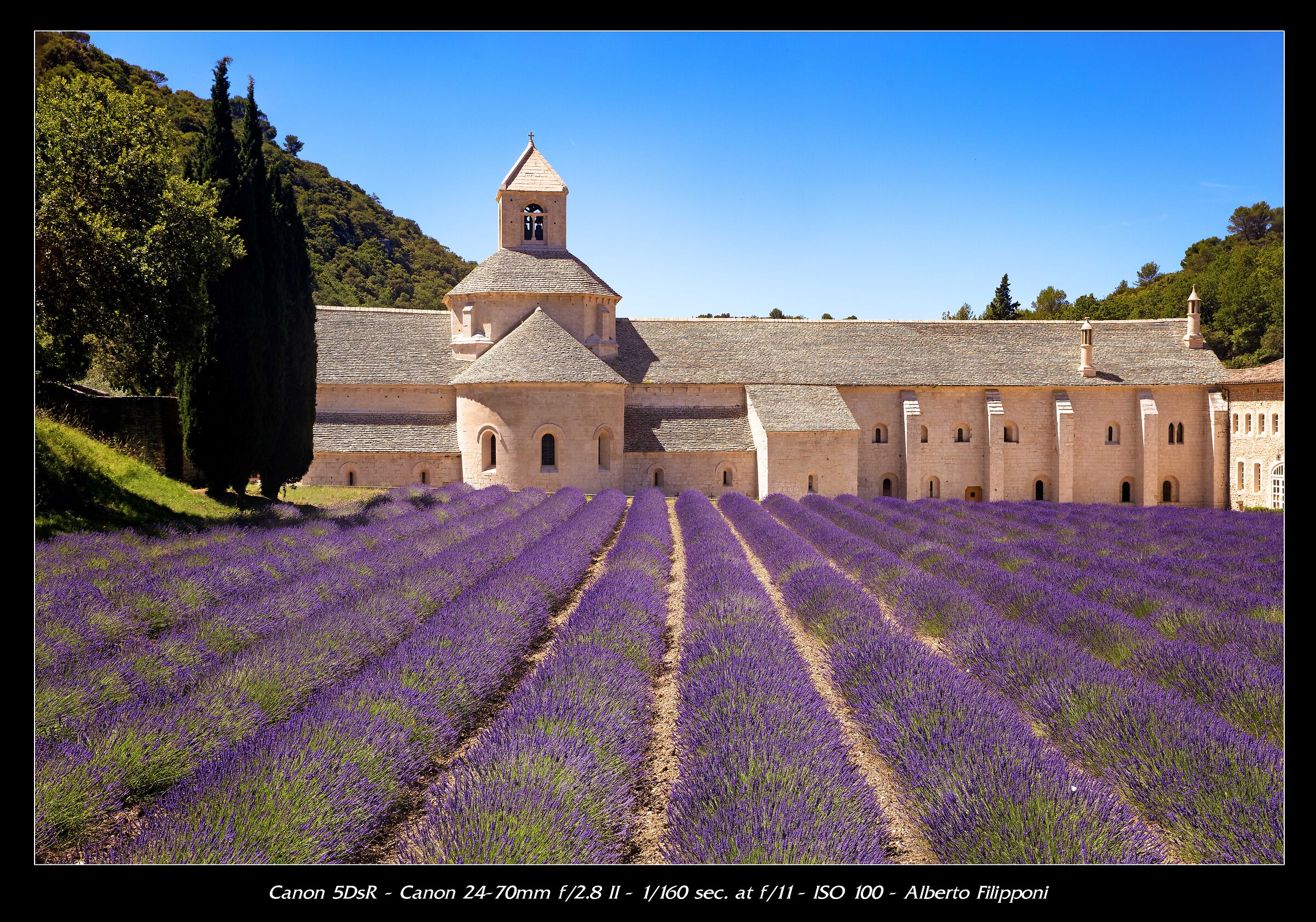 Abbazia di Senanque