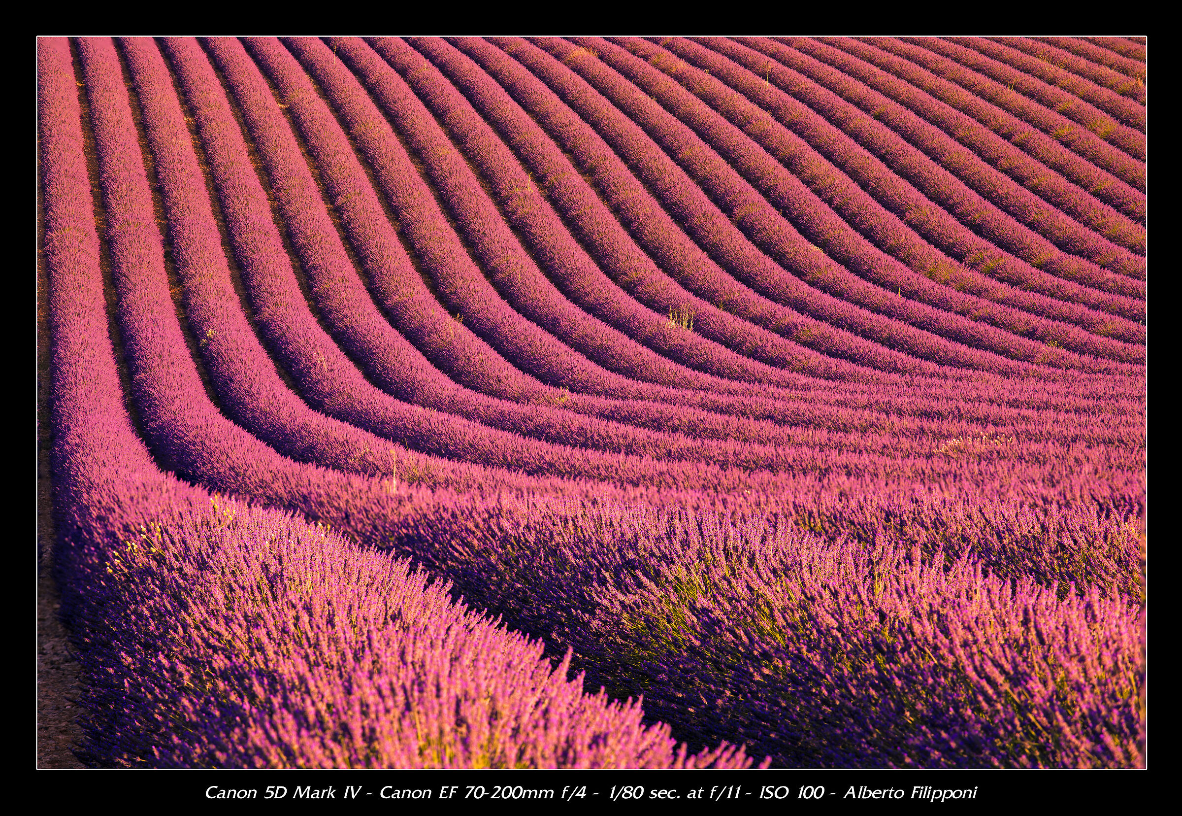 Valensole