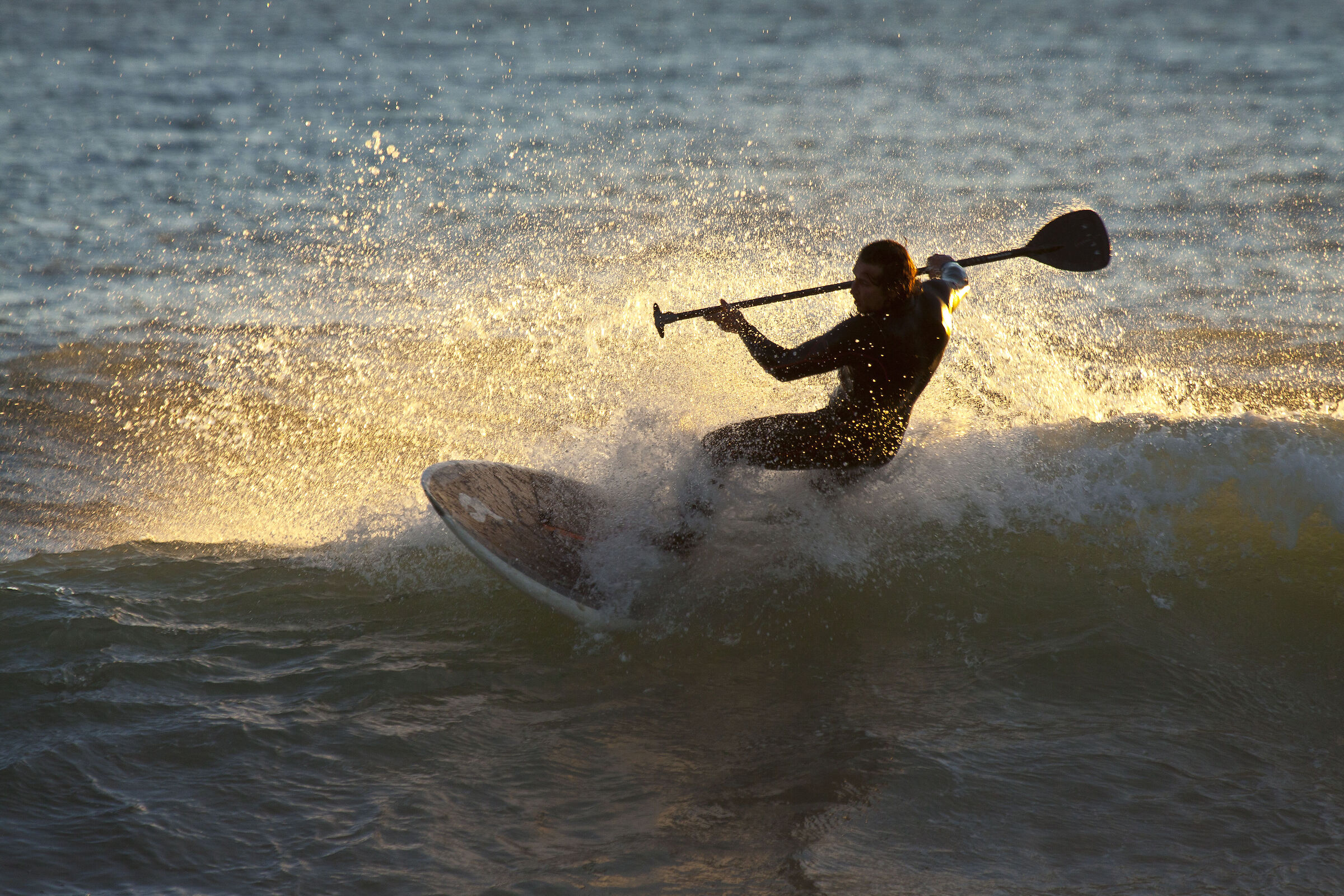 Il surfista D'oro #2