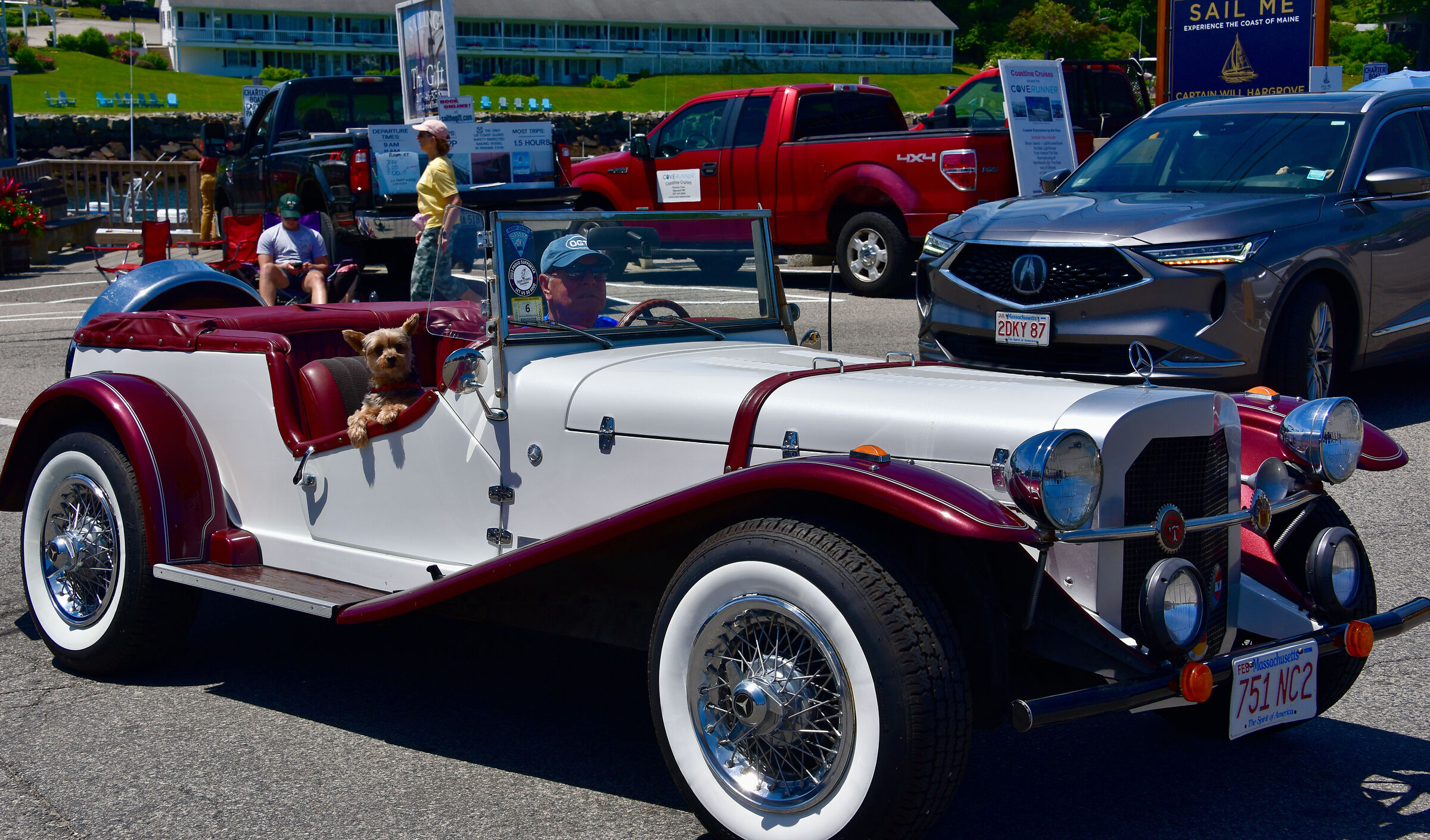 Vecchia carta + animali domestici interni